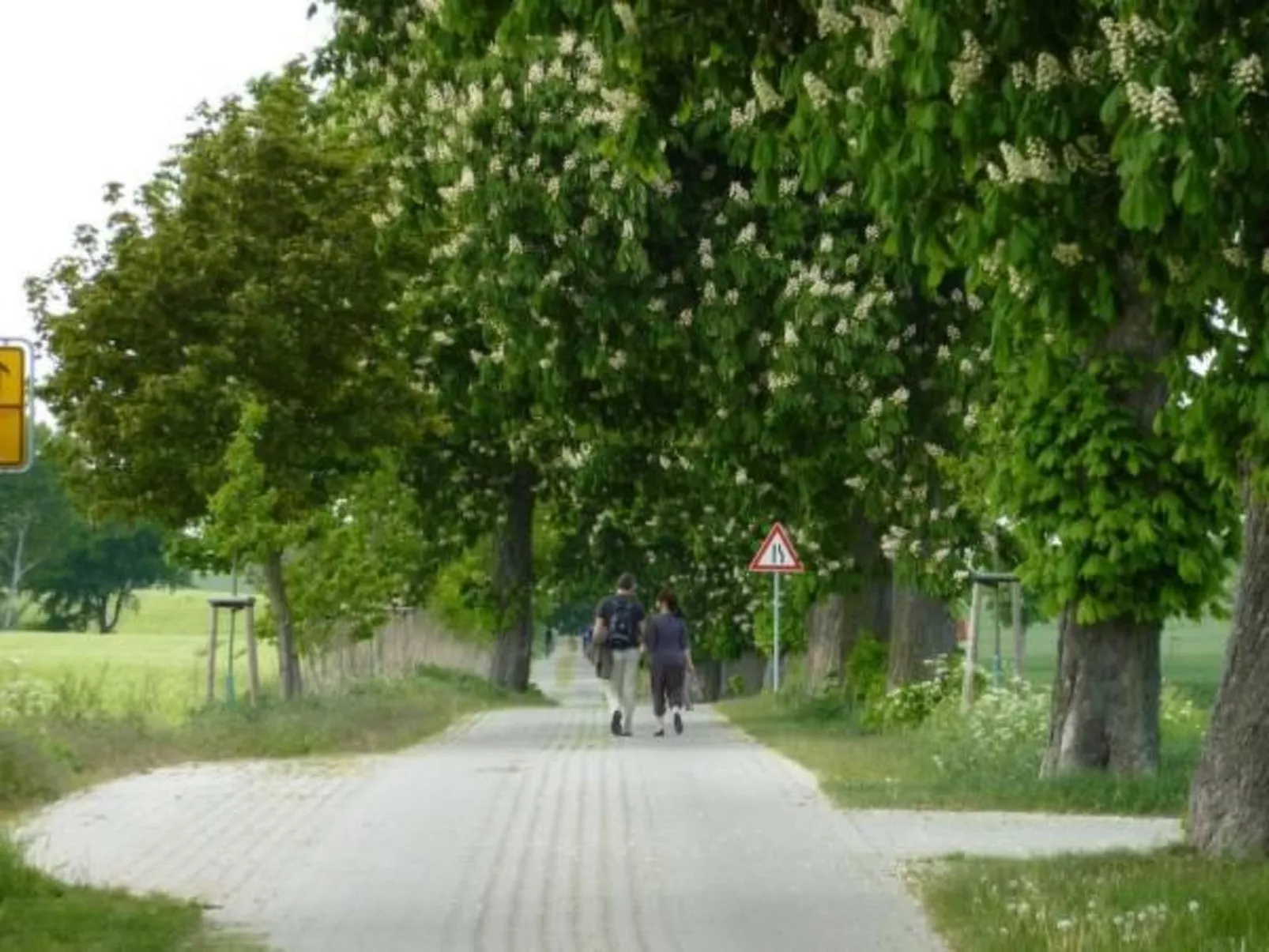 Mueritzbrise 3 mit Terrasse free WiFi - Buiten
