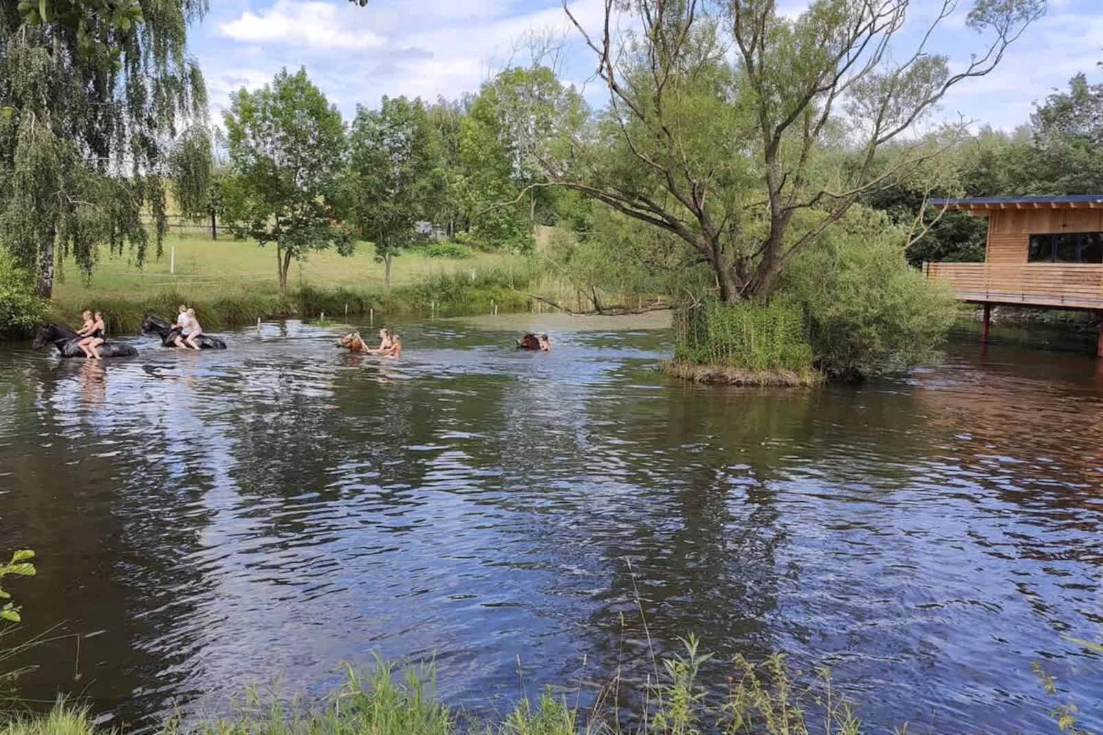 TH2 1P+40€(5) Schulz - Gebieden zomer 5km