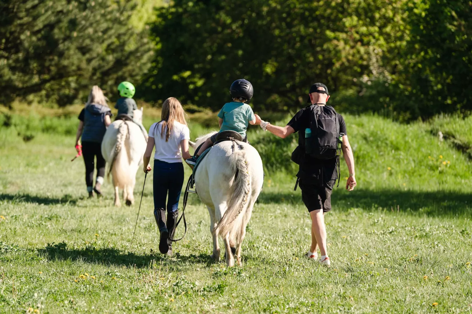 TH2 1P+40€(5) Schulz - Gebieden zomer 5km