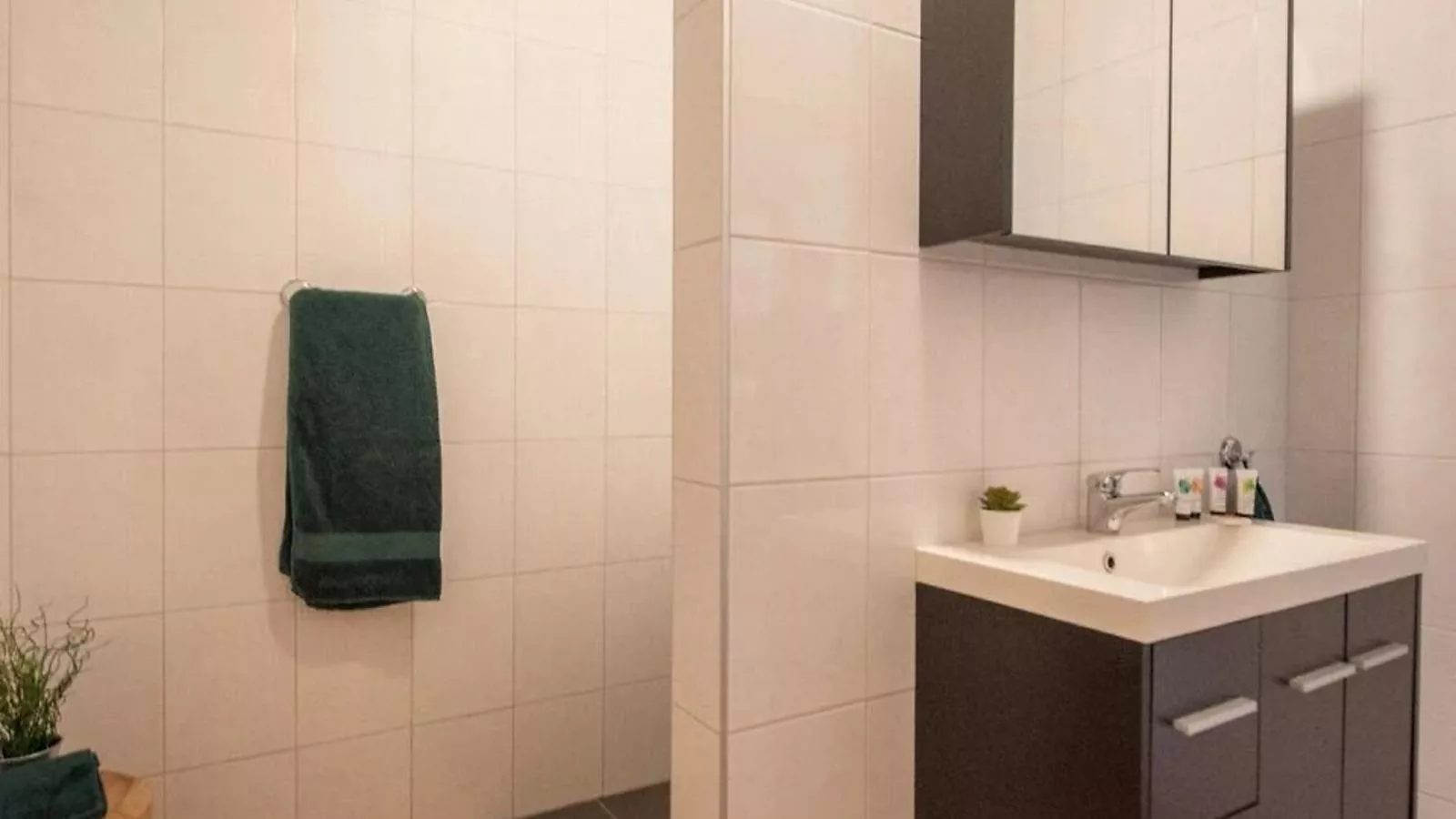 Het Heidenest - Badkamer