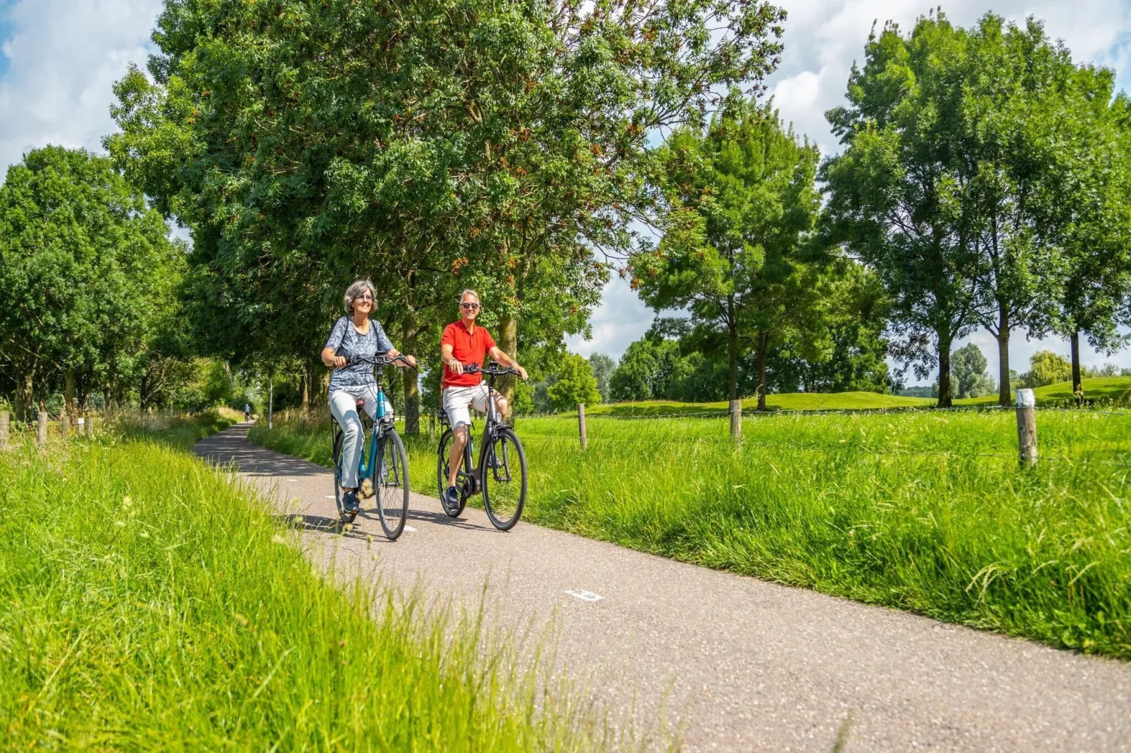 Resort aan de Maas 1-Gebieden zomer 1km