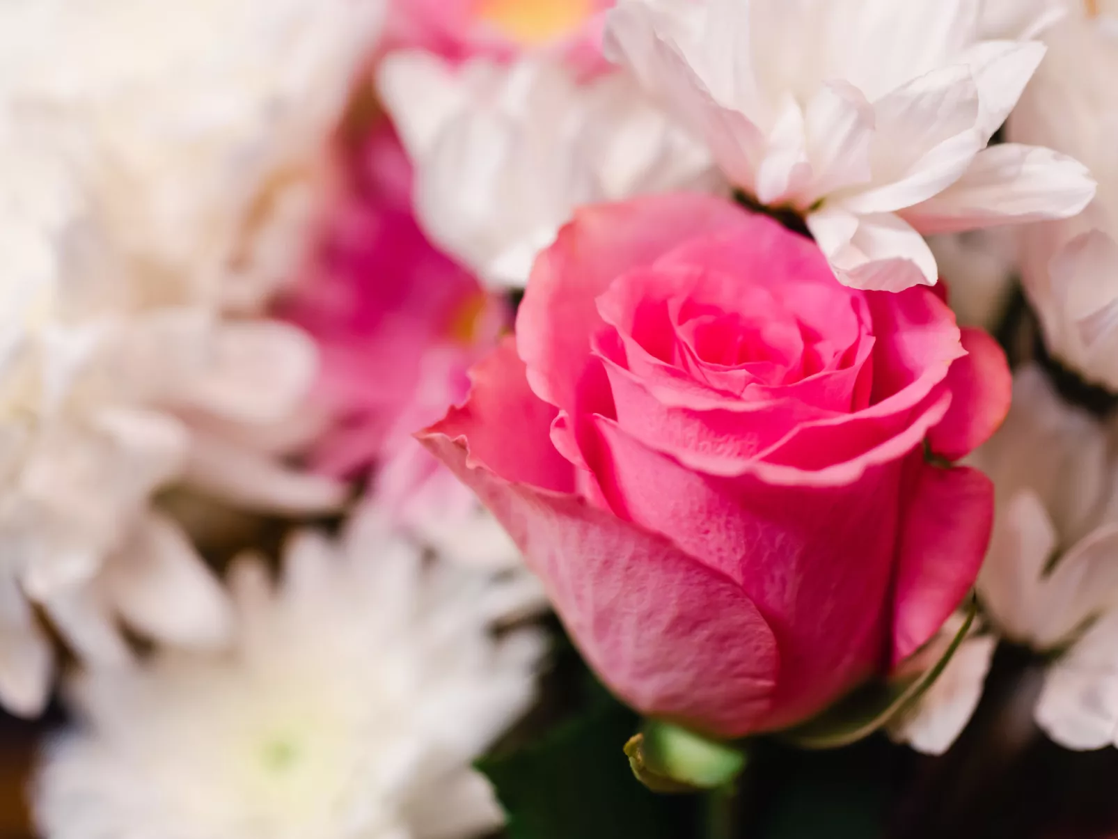 Birch Rowan Combi - Binnen