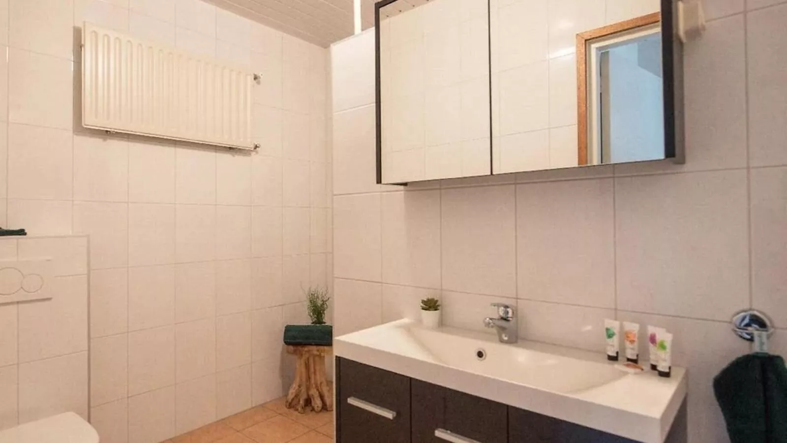 Het Heidenest - Badkamer