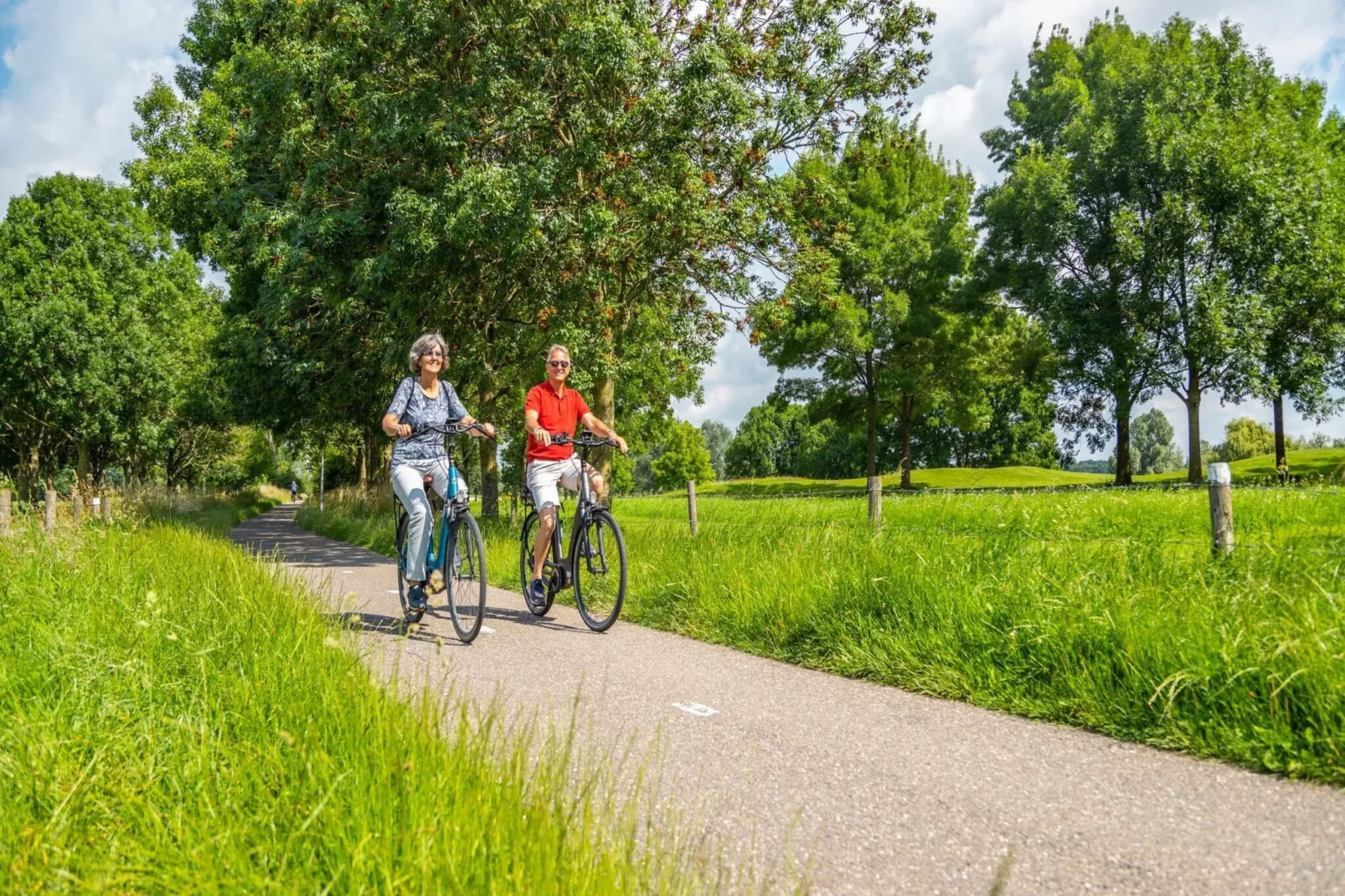 Resort aan de Maas 2-Gebieden zomer 1km