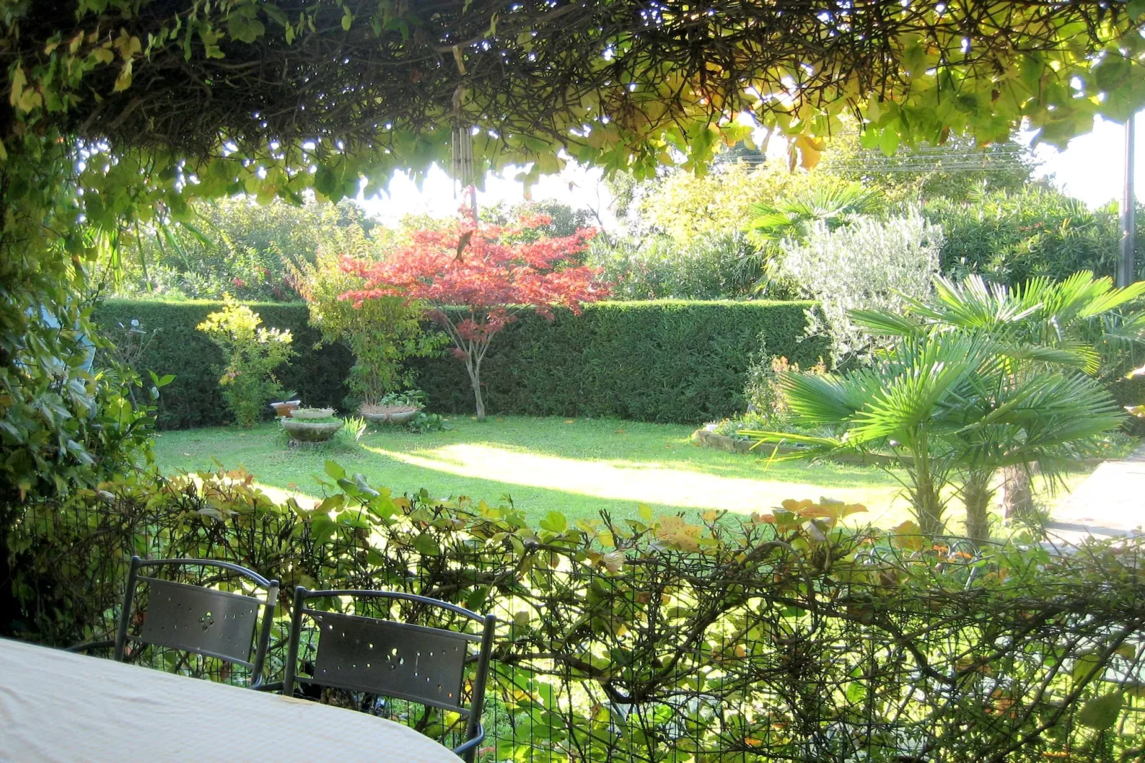 Villa Serena - Tuinen zomer