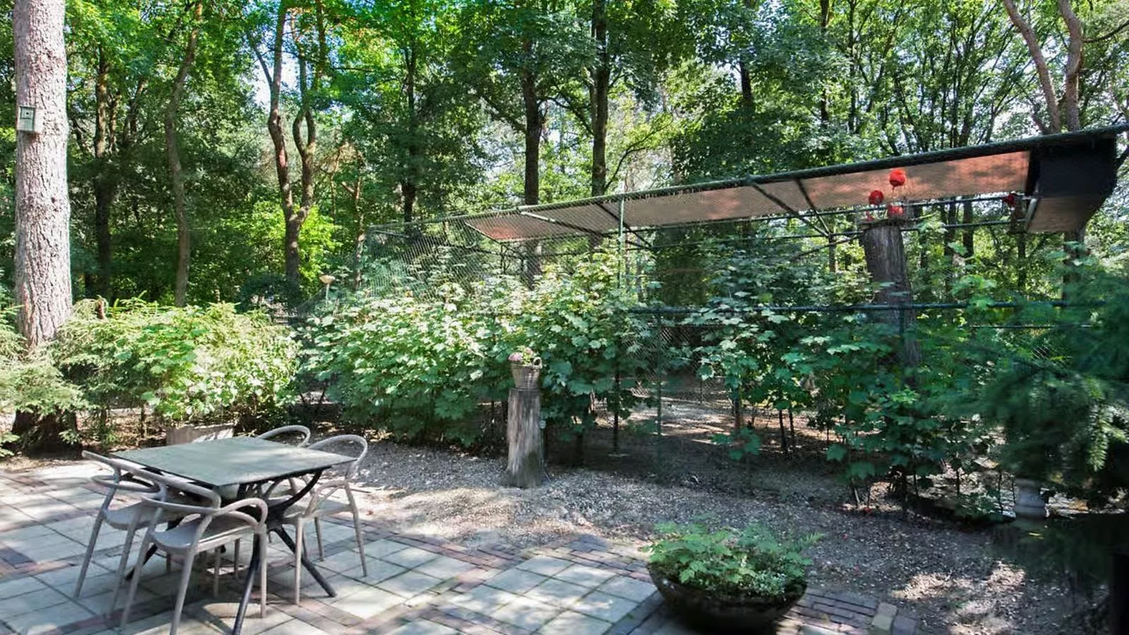 De Rode Ibis - Tuinen zomer