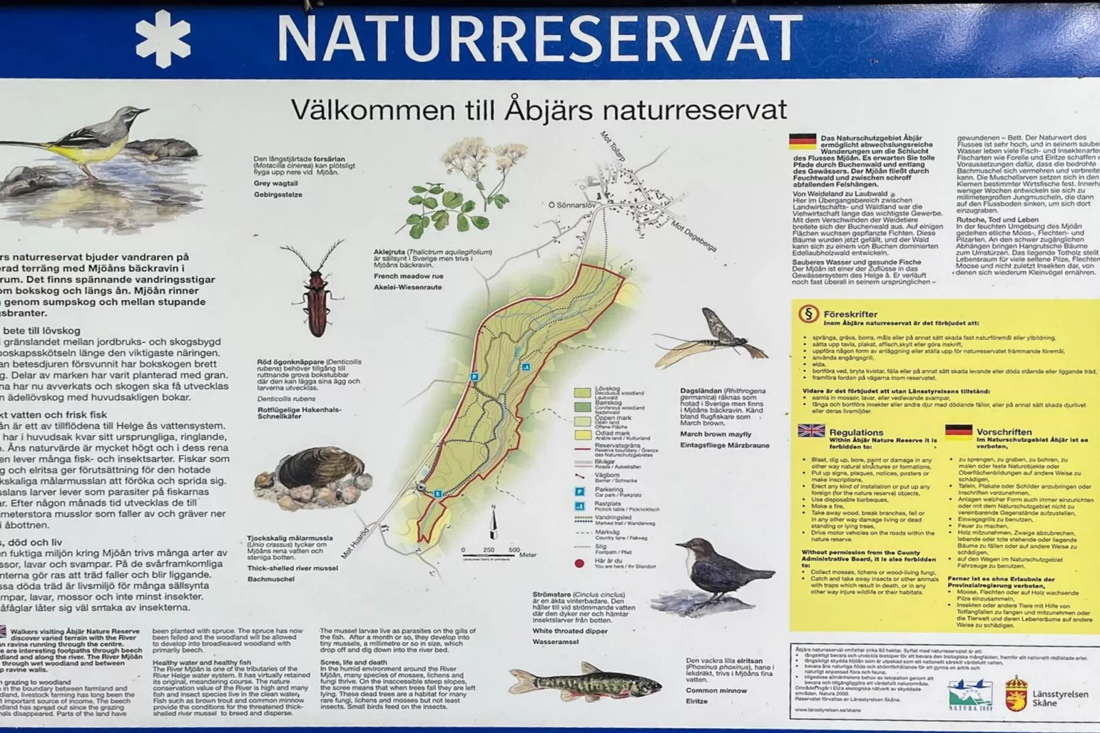 4 sterren vakantie huis in YNGSJÖ, SVERIGE - Niet-getagd