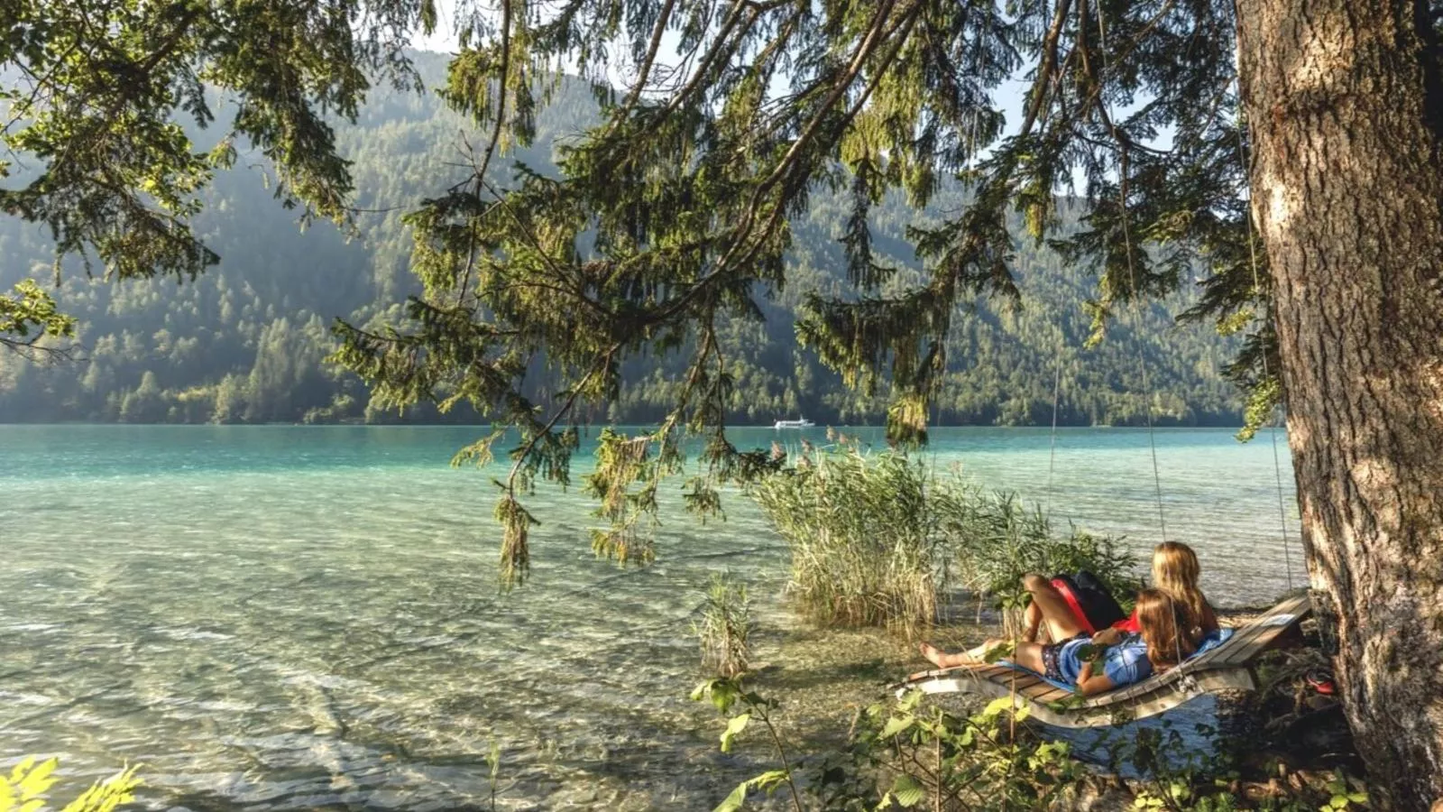 Reiteralm Top 31 - Gebieden zomer 20km