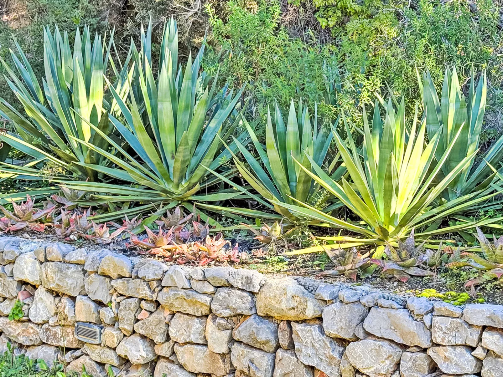 Villa 6 Chambres 12 Pers - Piscine - Clim - Wifi - Buiten