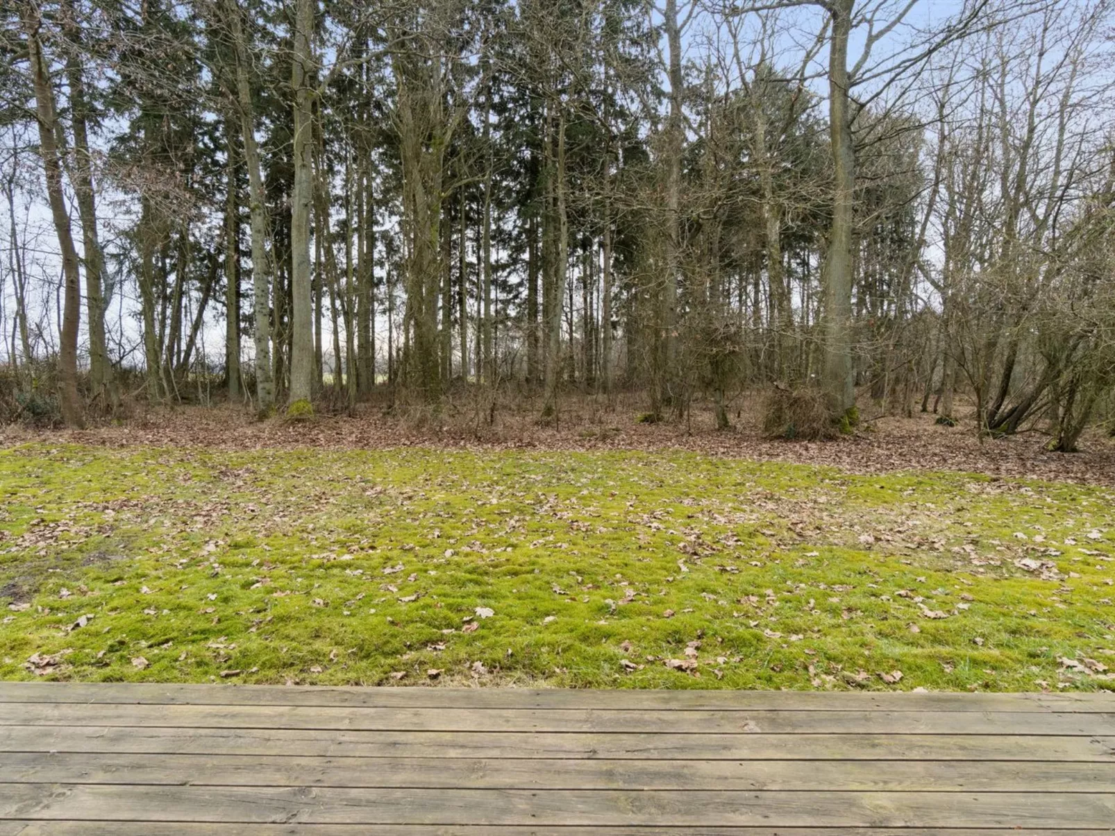 "Aarre" - 1km from the sea - Buiten