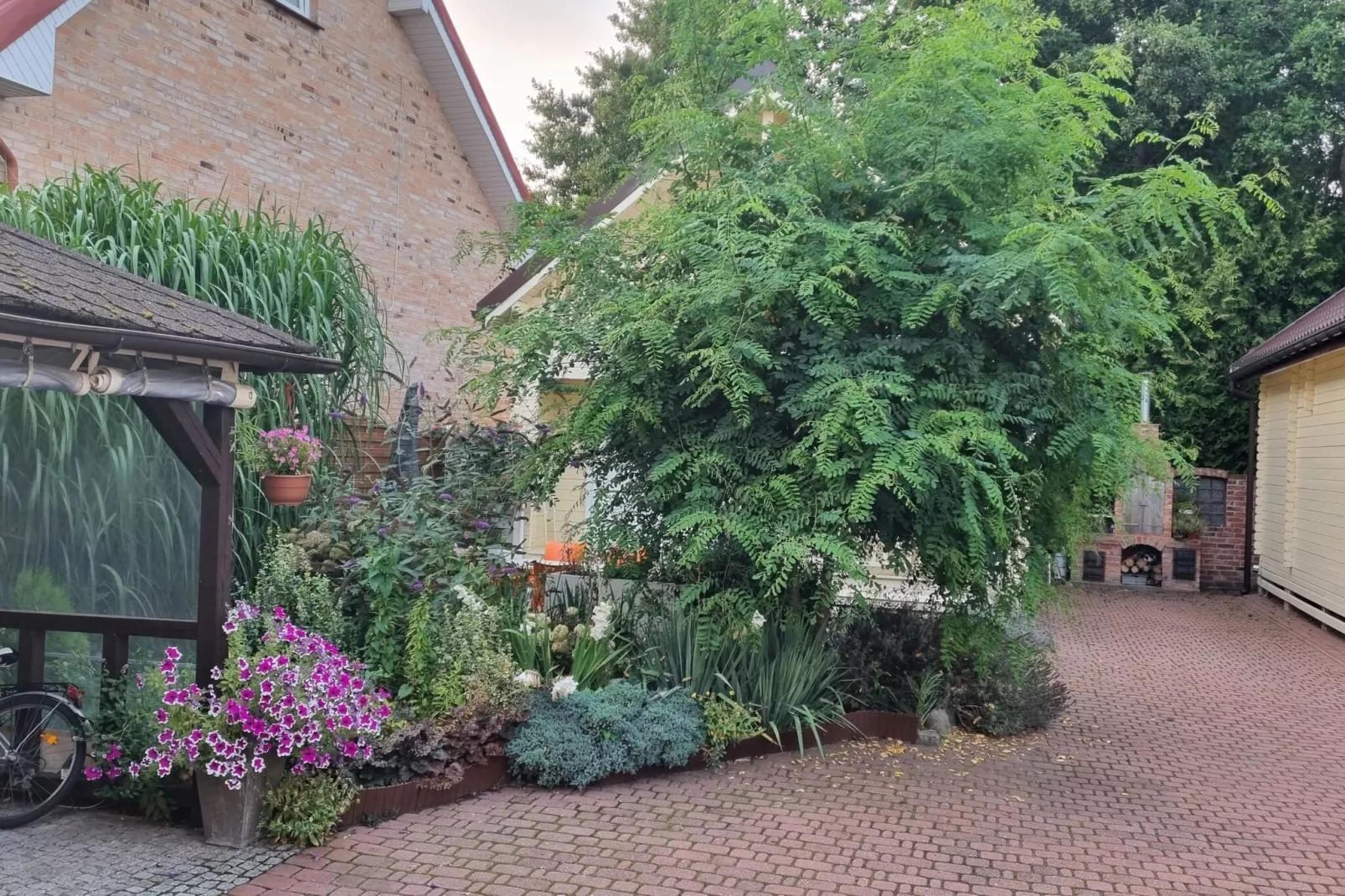 Domy wakacyjne Grzybowo-Tuinen zomer