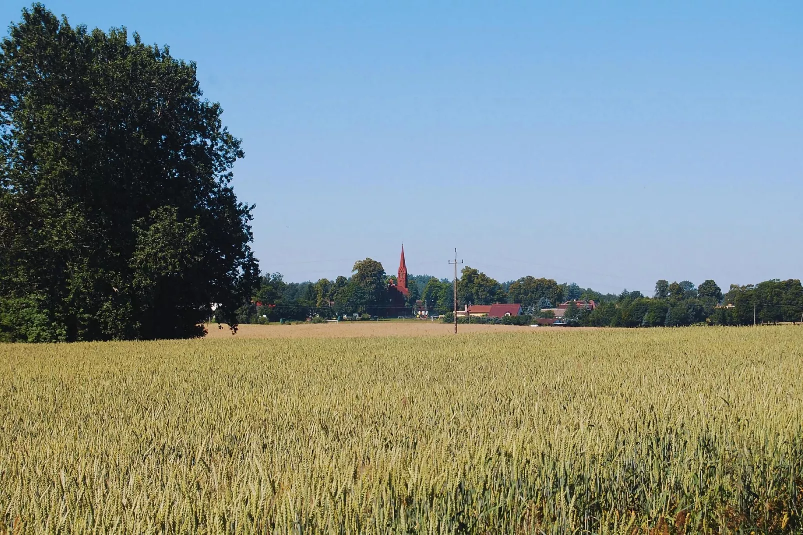 Dom wakacyjny z basenem dla 7 osób Sieciemin-Gebieden zomer 5km