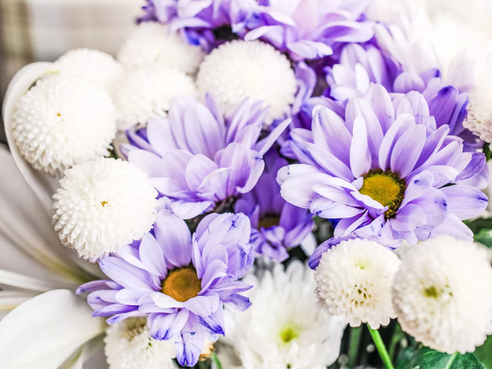 Bunloit Combi - Binnen