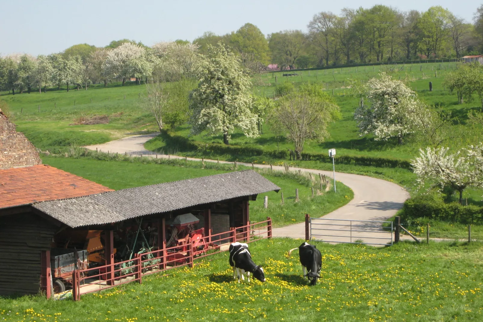 Honthem - Gebieden zomer 1km