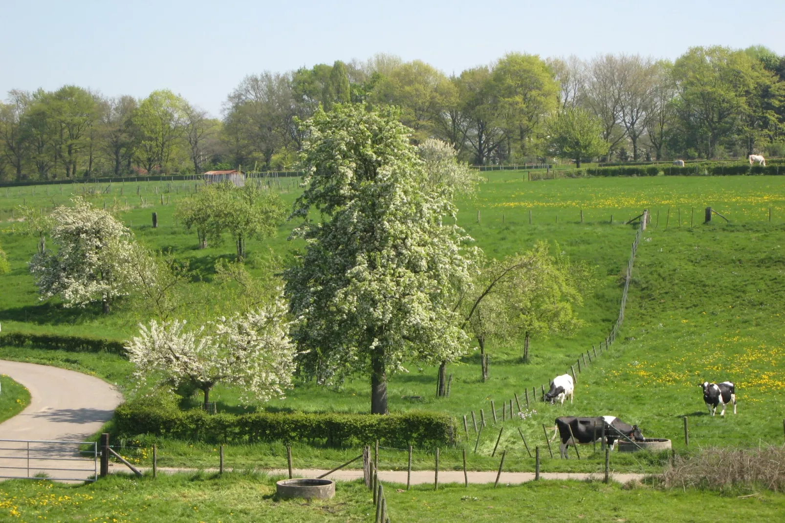 Honthem - Gebieden zomer 1km