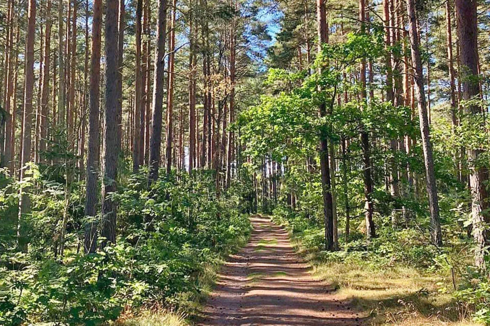 6 persoons vakantie huis in ROCKNEBY-By Traum-Niet-getagd