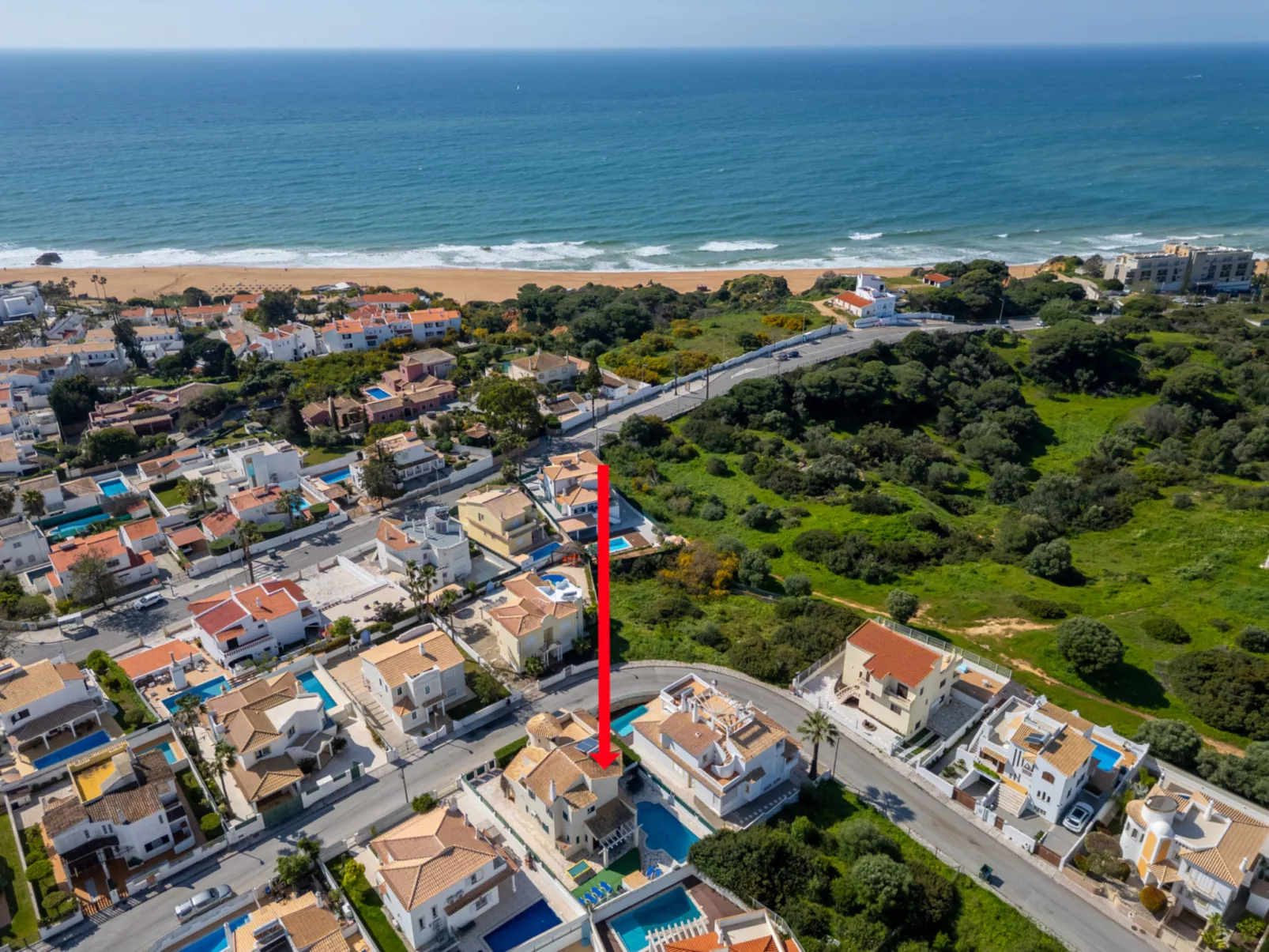 Monteiro V4 - VIP Properties