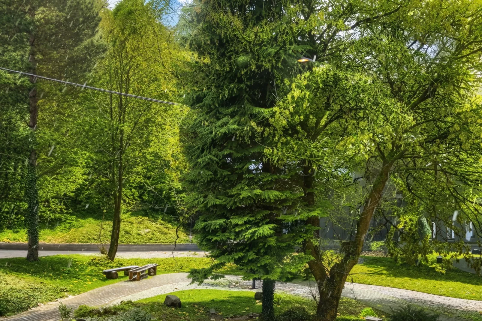 Single Room - Tuinen zomer