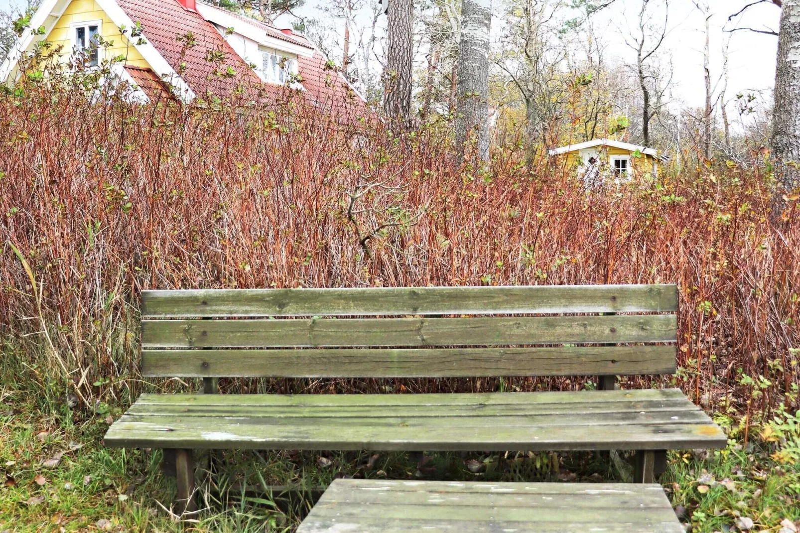 4 sterren vakantie huis in LAHOLM-Buitenlucht