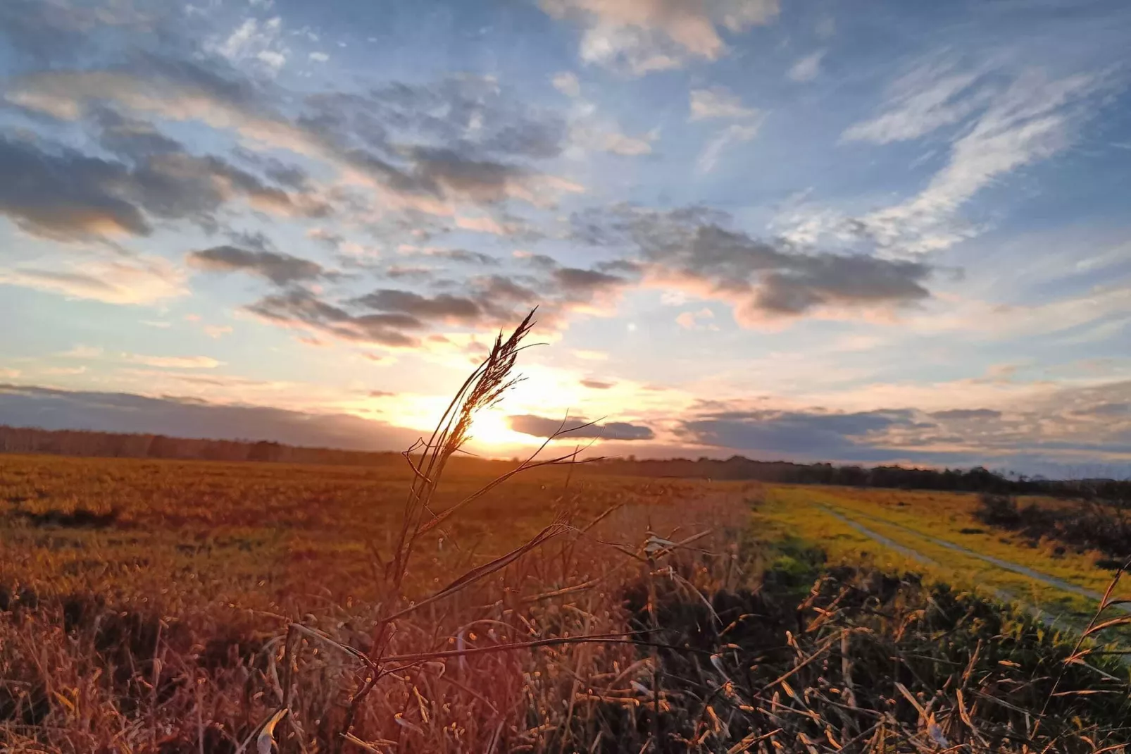 Dom wakacyjny z Klimatem Smołdziński Las - Gebieden zomer 1km
