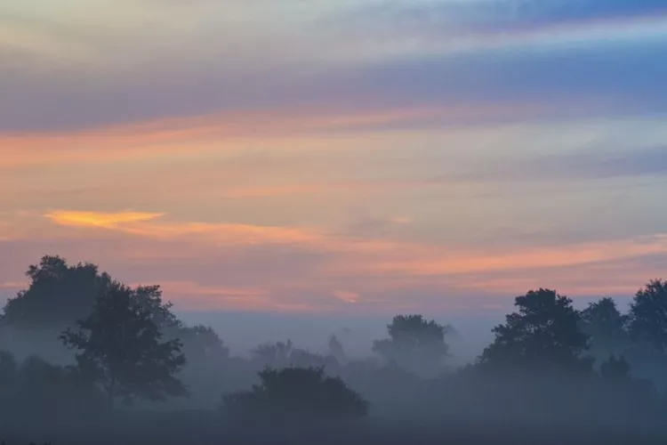 Dom wakacyjny z Klimatem Smołdziński Las - Gebieden zomer 1km