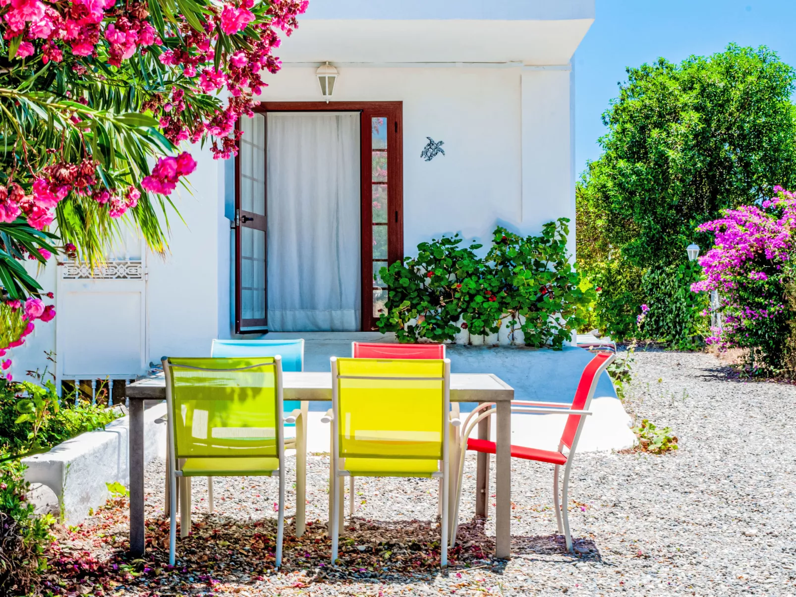 Tortuga - Nido Aguila Blanca