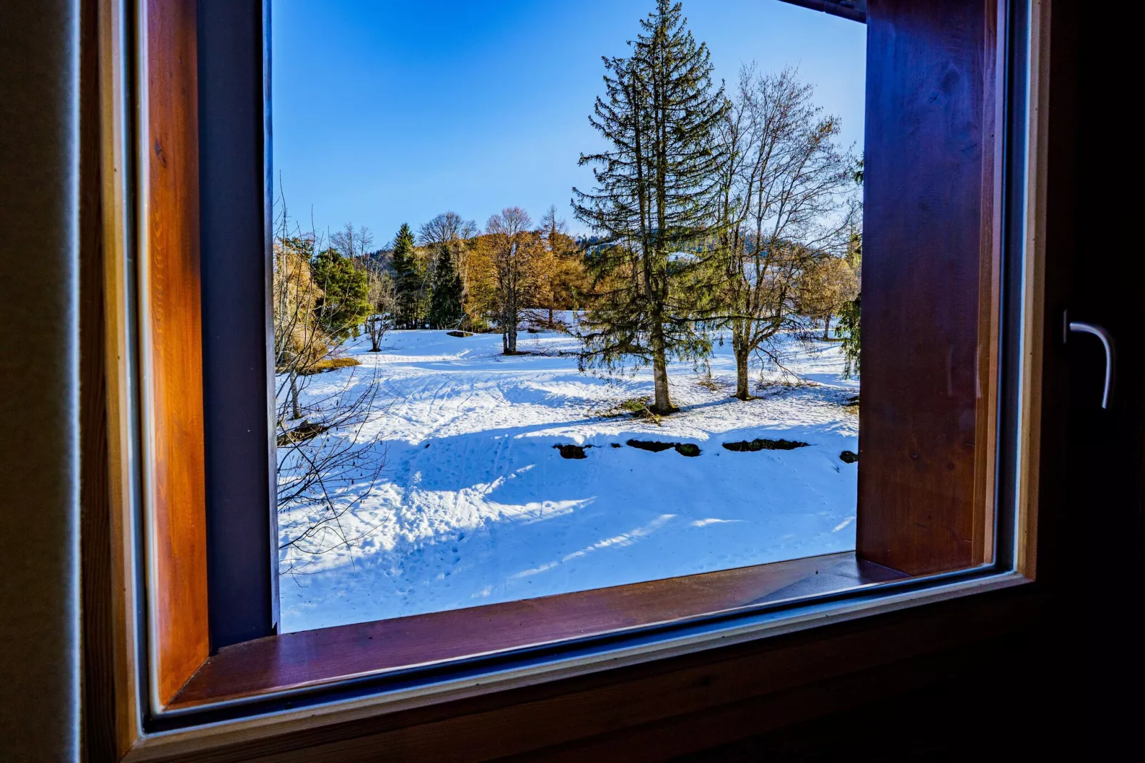 CB-196-VERNAY - Niet-getagd