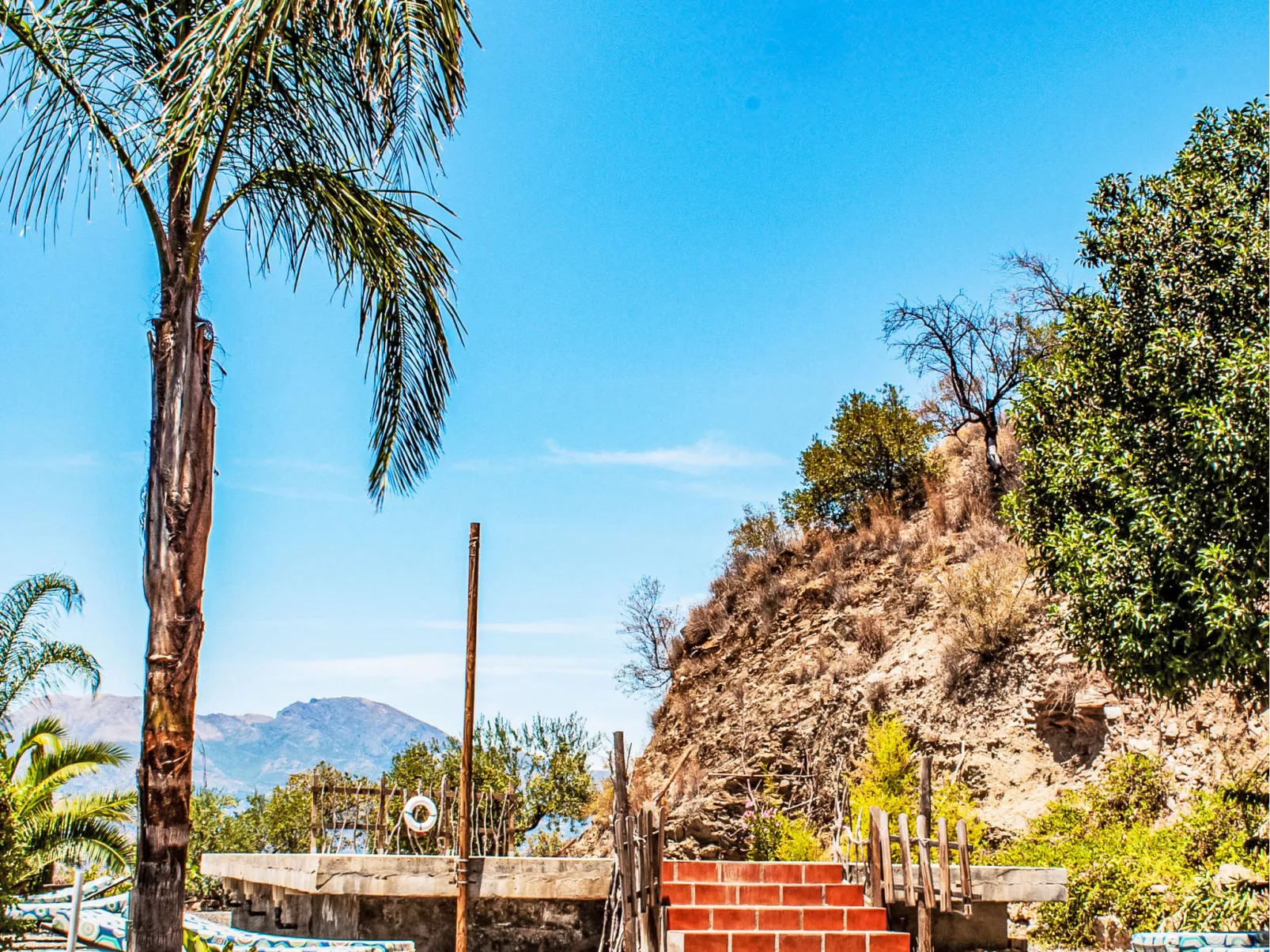 Buho - Nido Aguila Blanca - Buiten