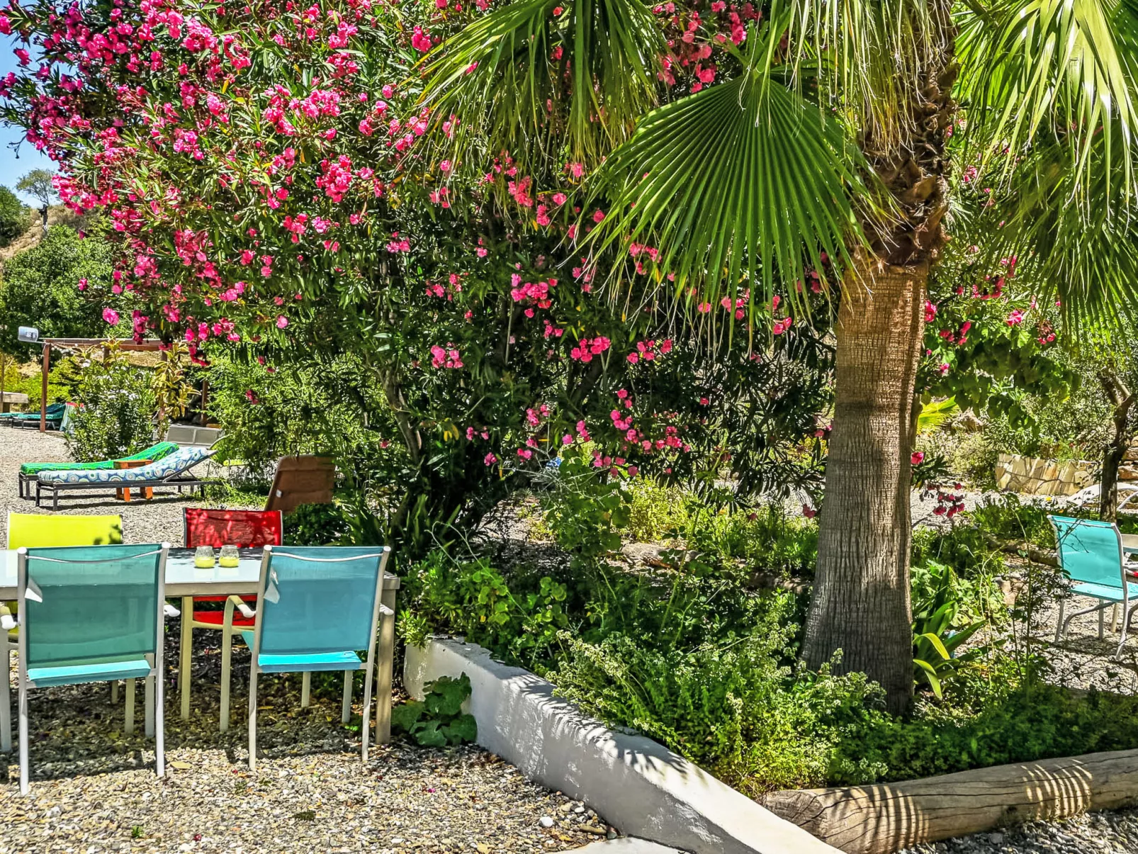 Nido Aguila Blanca - Buiten