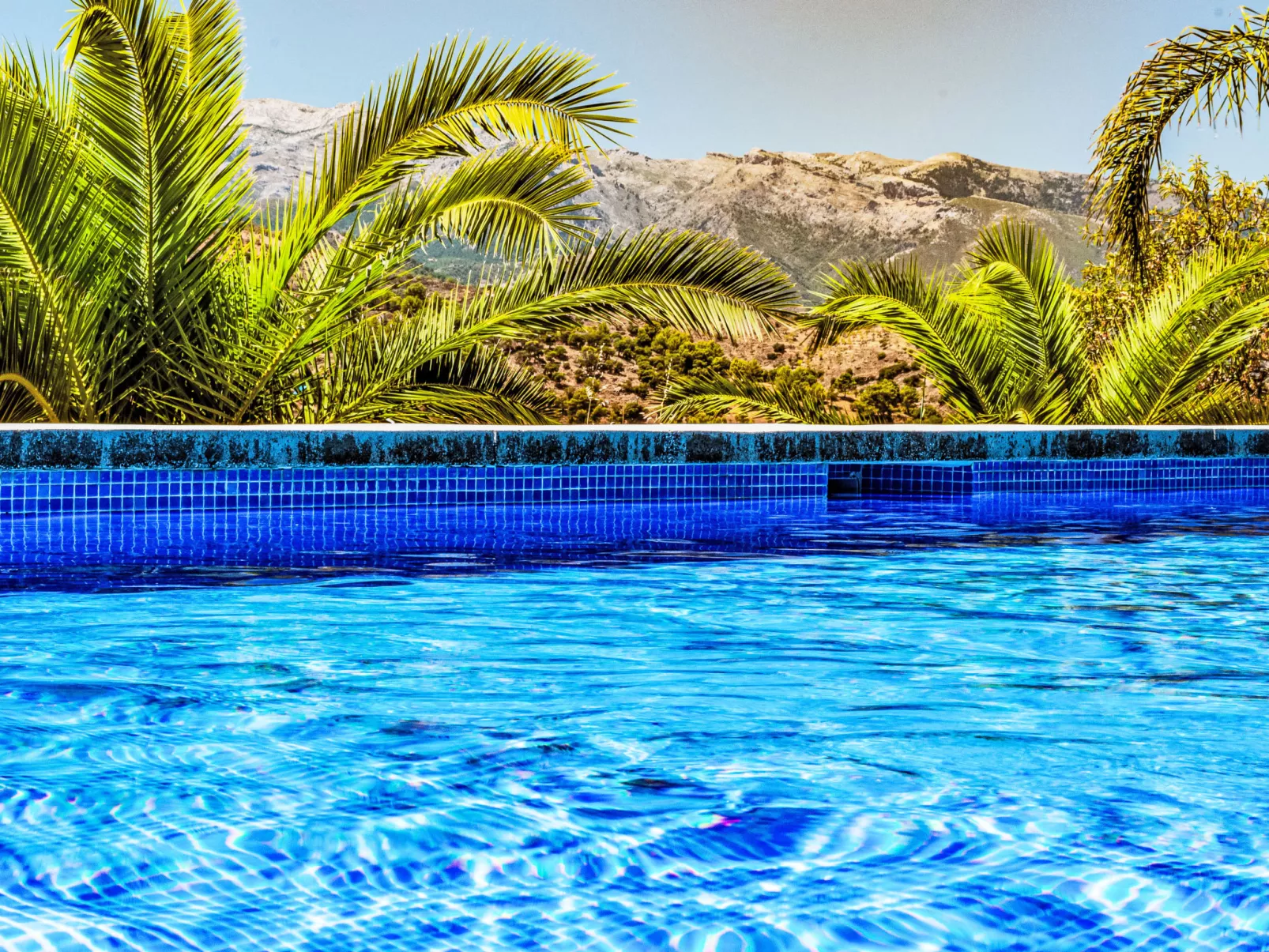 Tortuga - Nido Aguila Blanca - Buiten