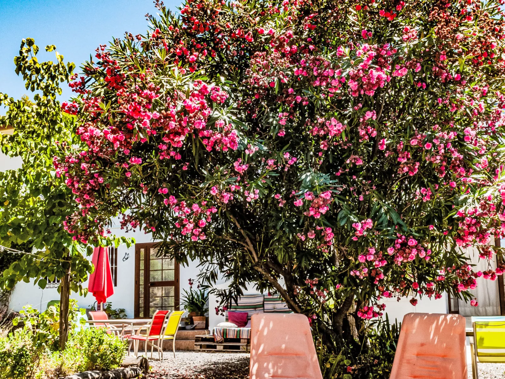 Buho - Nido Aguila Blanca - Buiten