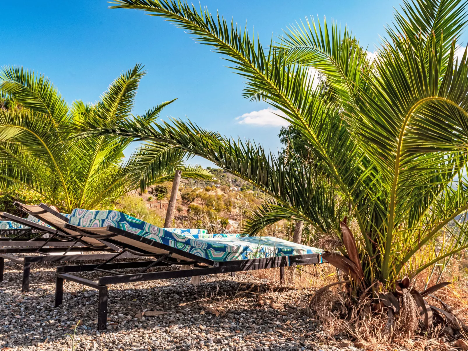 Tortuga - Nido Aguila Blanca - Buiten