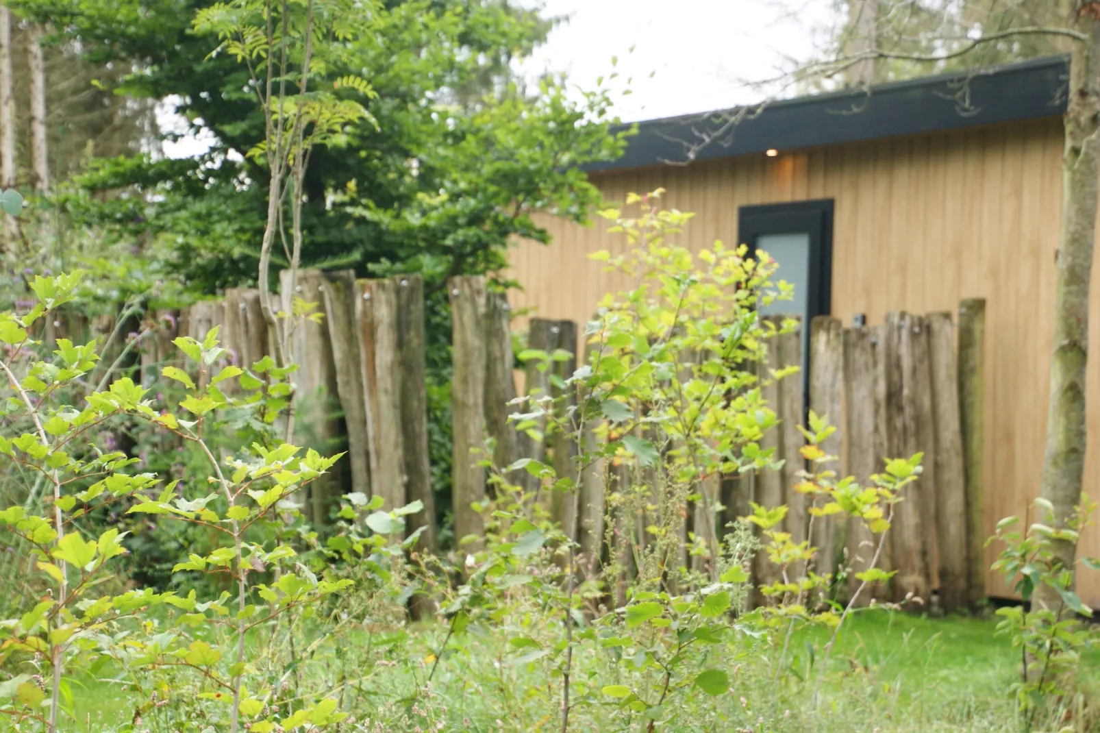 Wellnesslodge Scholekster 4p - Tuinen zomer