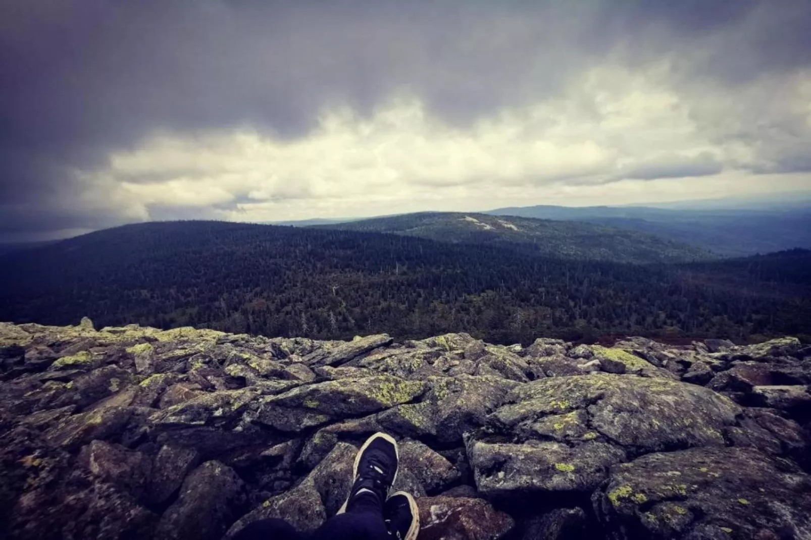 Typ A Basis - Studio Robert O175 - Gebieden zomer 5km