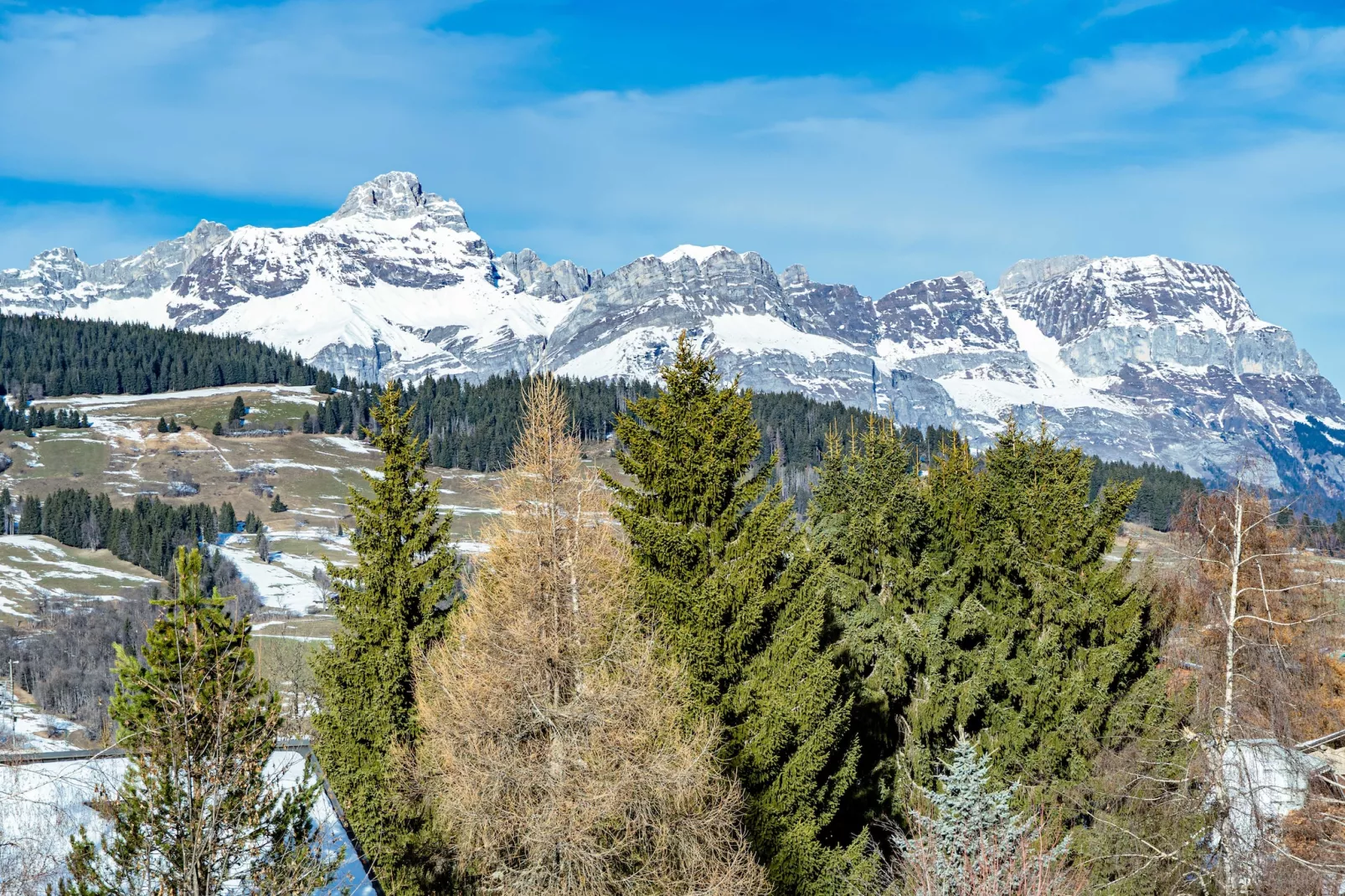 CB-196-VERNAY - Niet-getagd