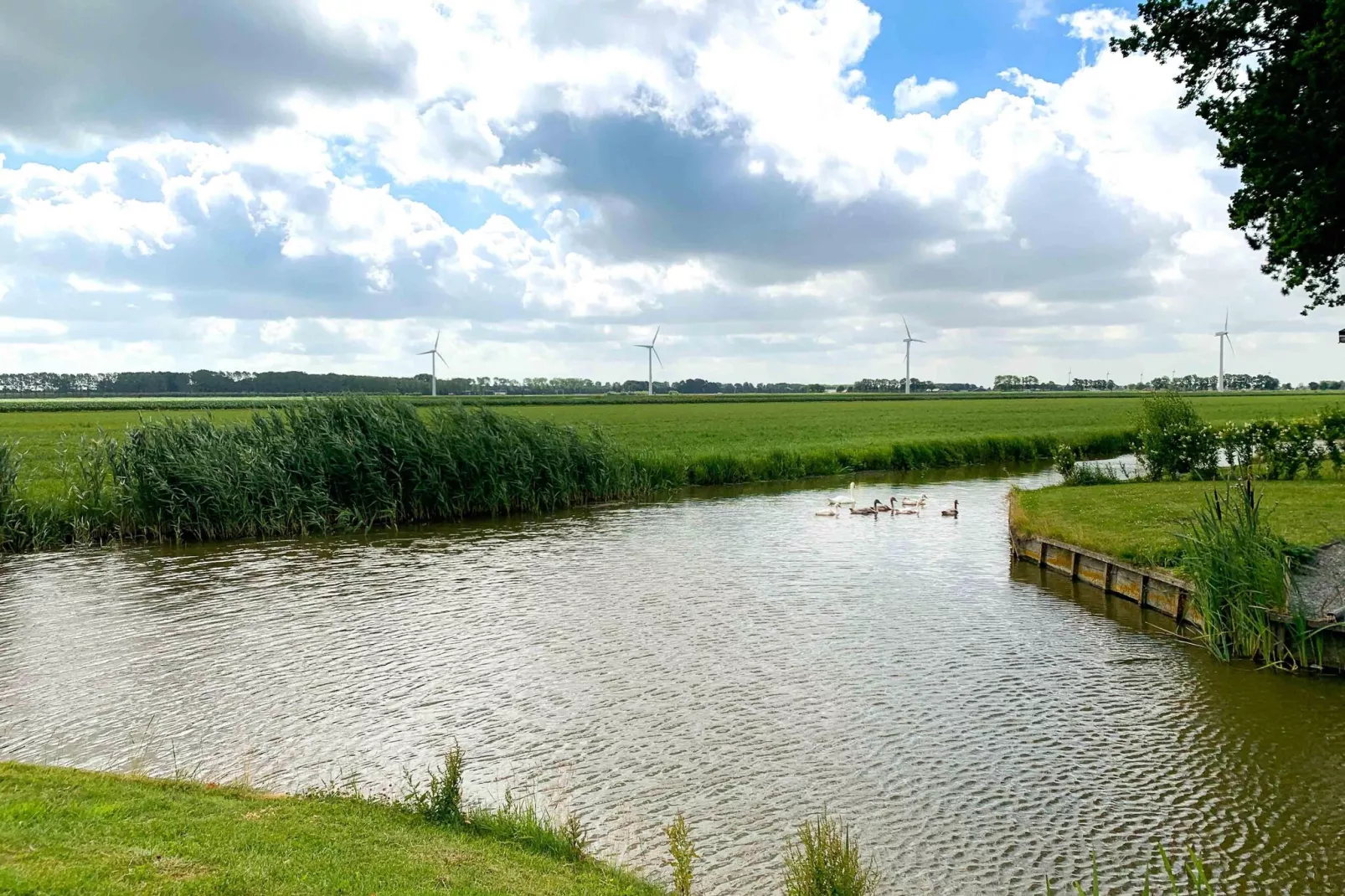 Park Westerkogge 17-Gebieden zomer 1km