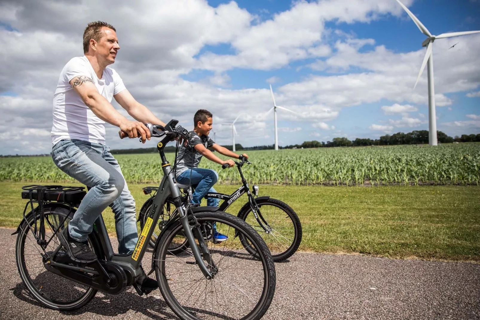 Park Westerkogge 17-Gebieden zomer 1km