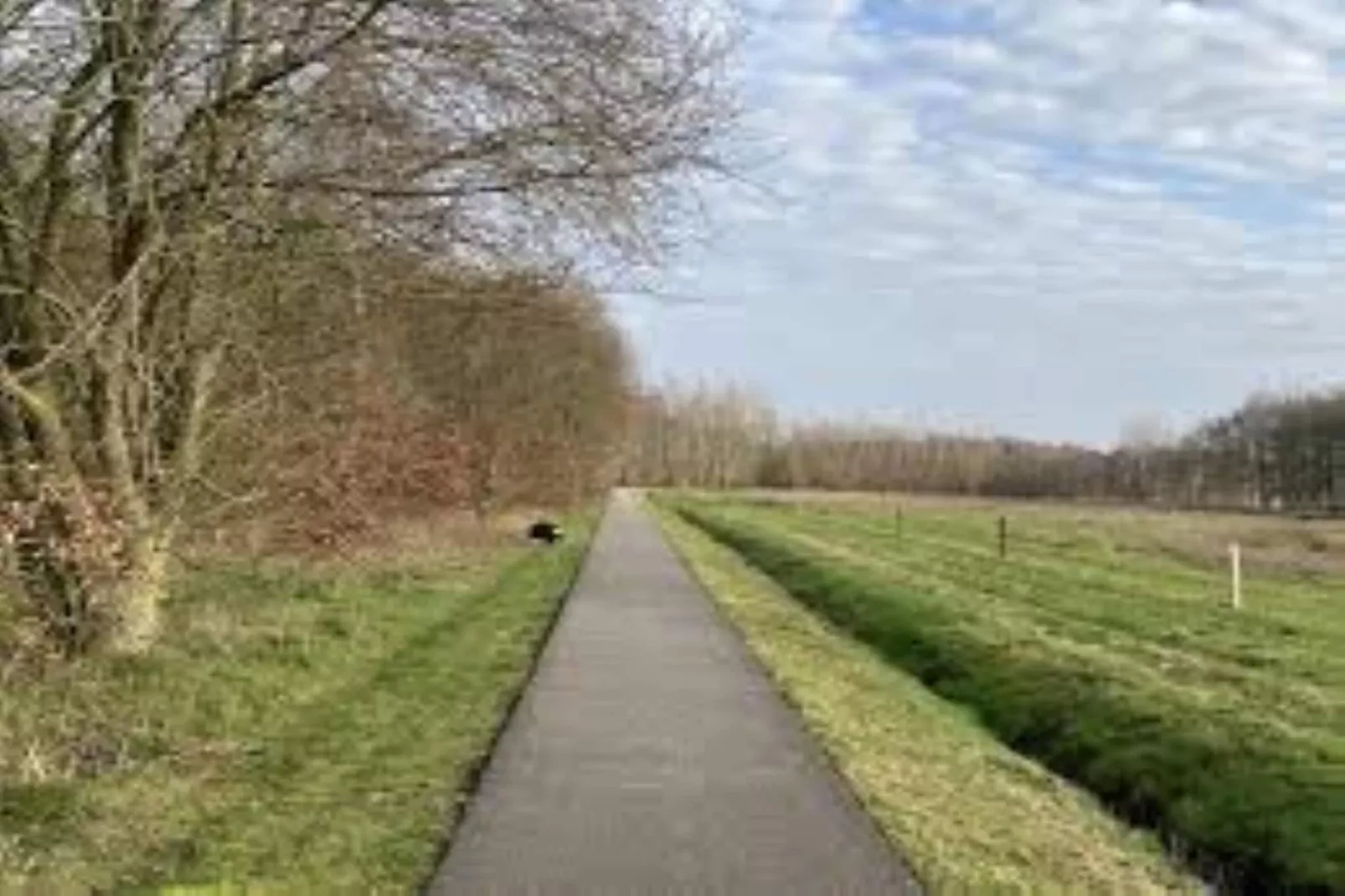 Wellnesslodge Scholekster 4p - Gebieden zomer 5km