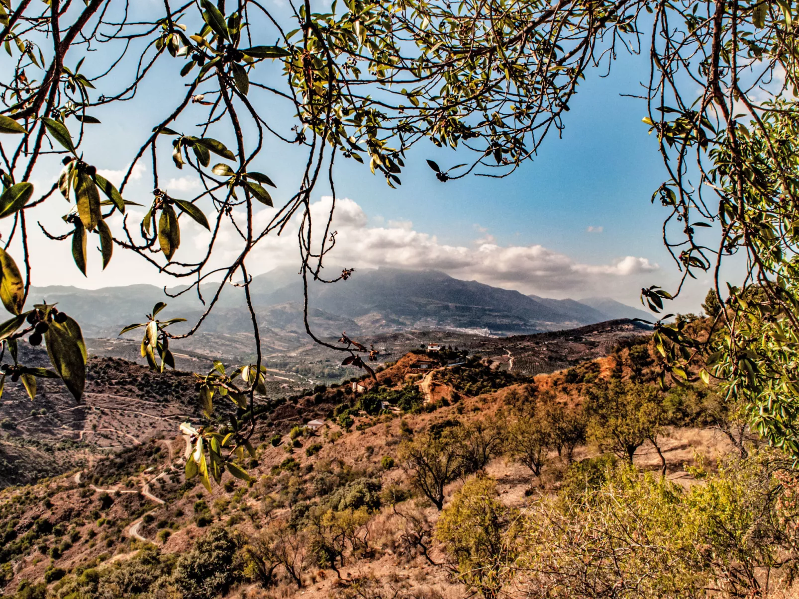 Mariposa - Nido Aguila Blanca - Buiten