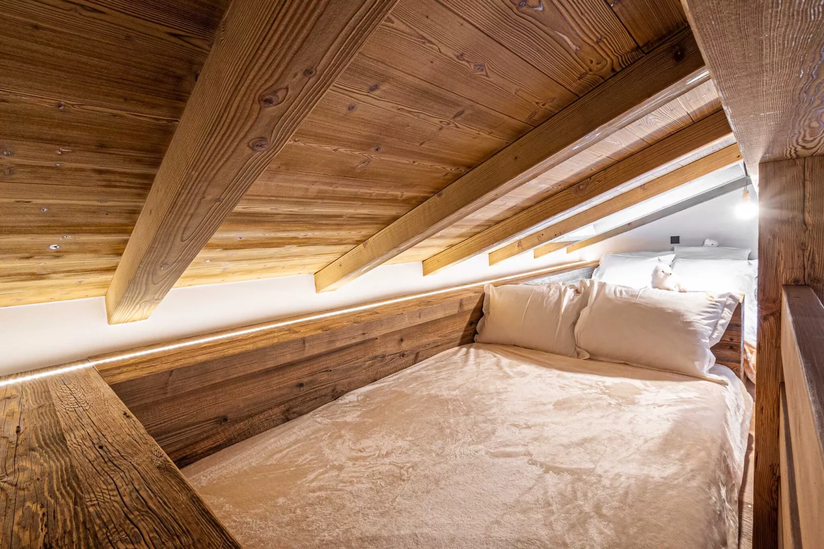 BG-80-BOIS - Niet-getagd