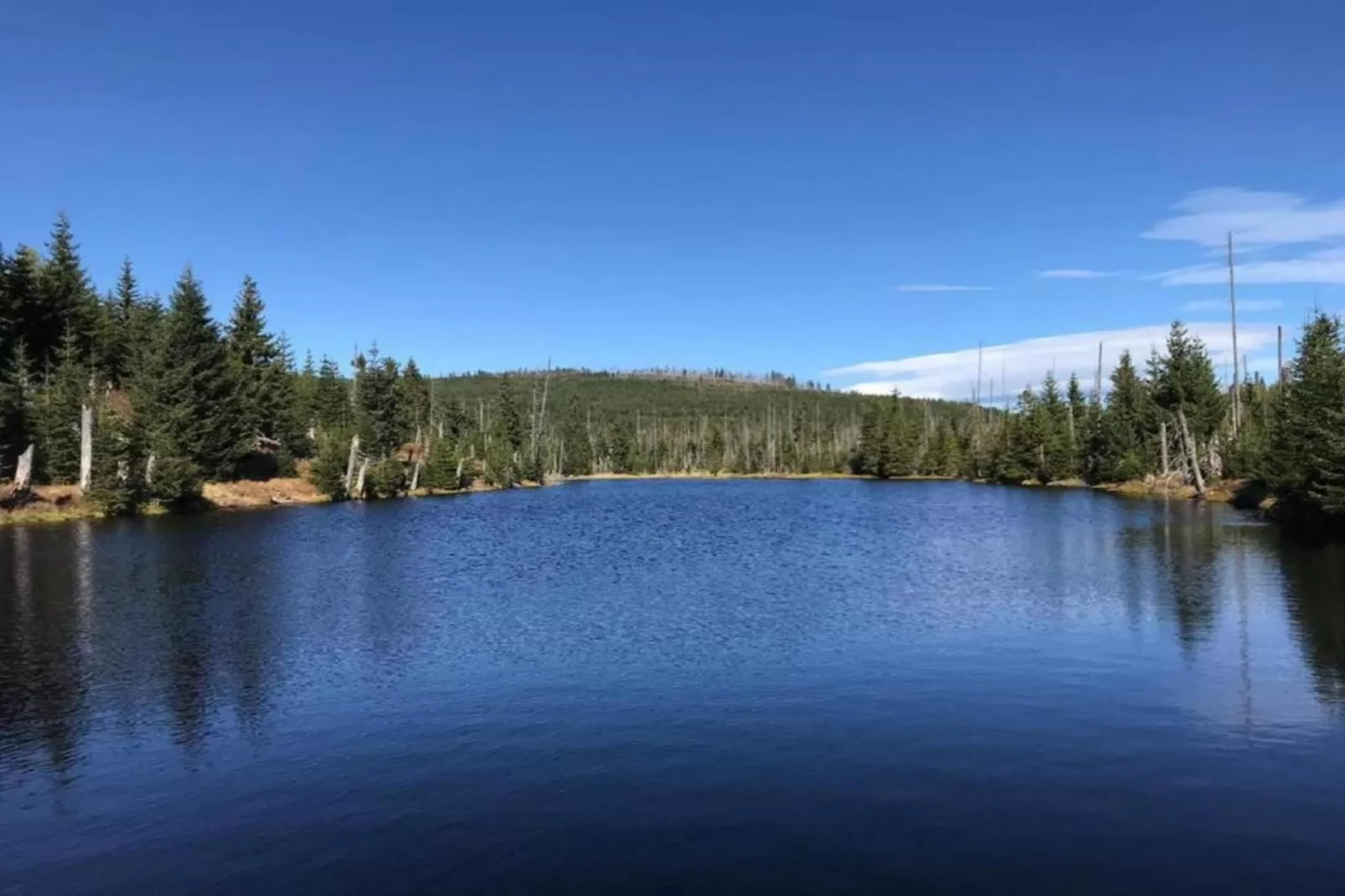 Typ A Basis - Studio Robert O175 - Gebieden zomer 5km