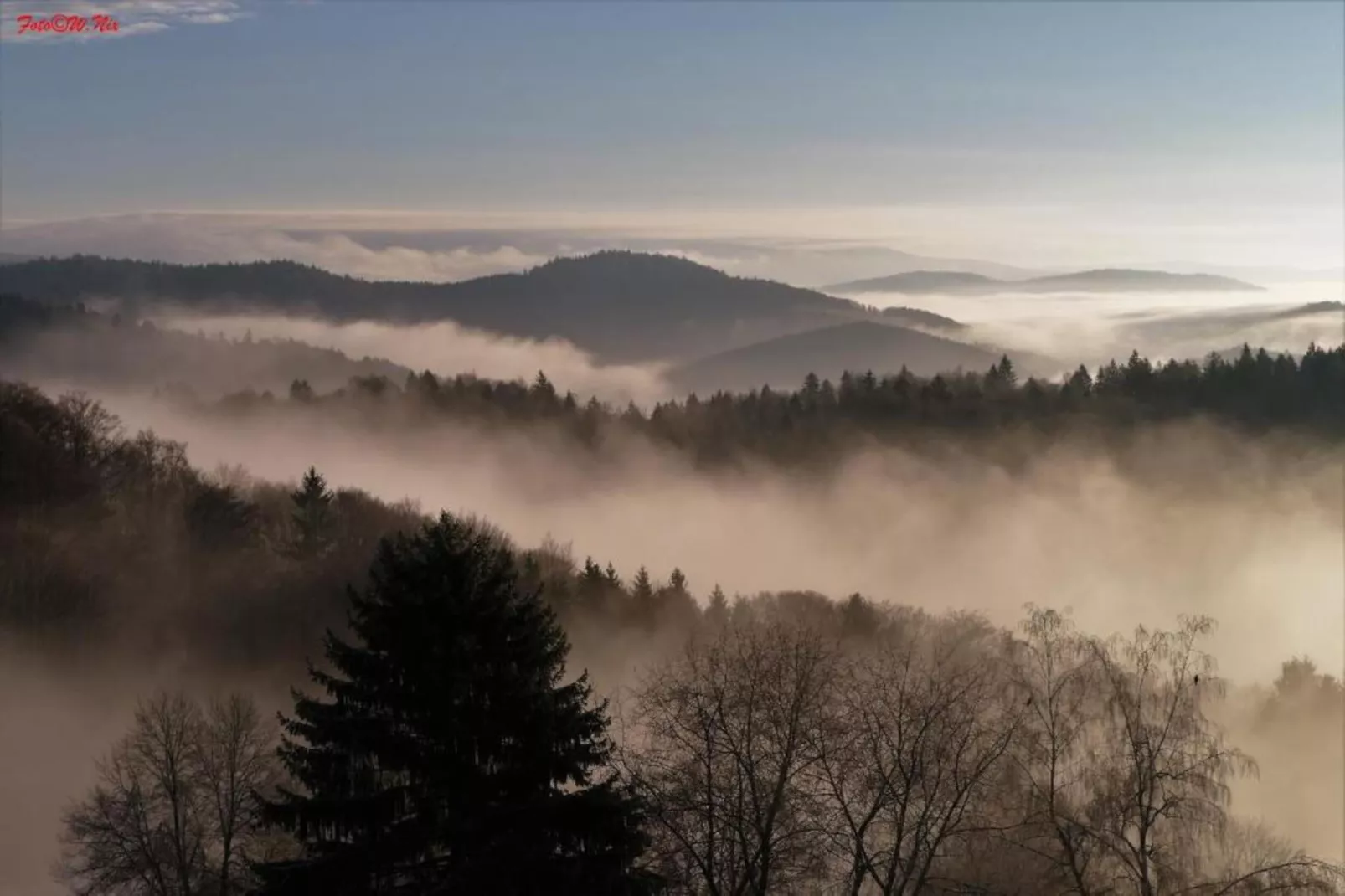 Typ A Basis - Studio Robert O175 - Gebieden zomer 5km