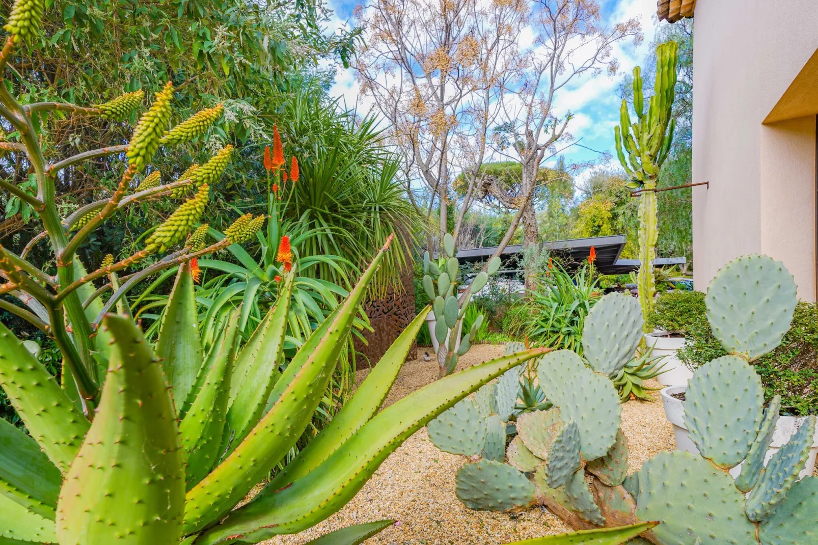 HH-127-GRIMAUD - Niet-getagd