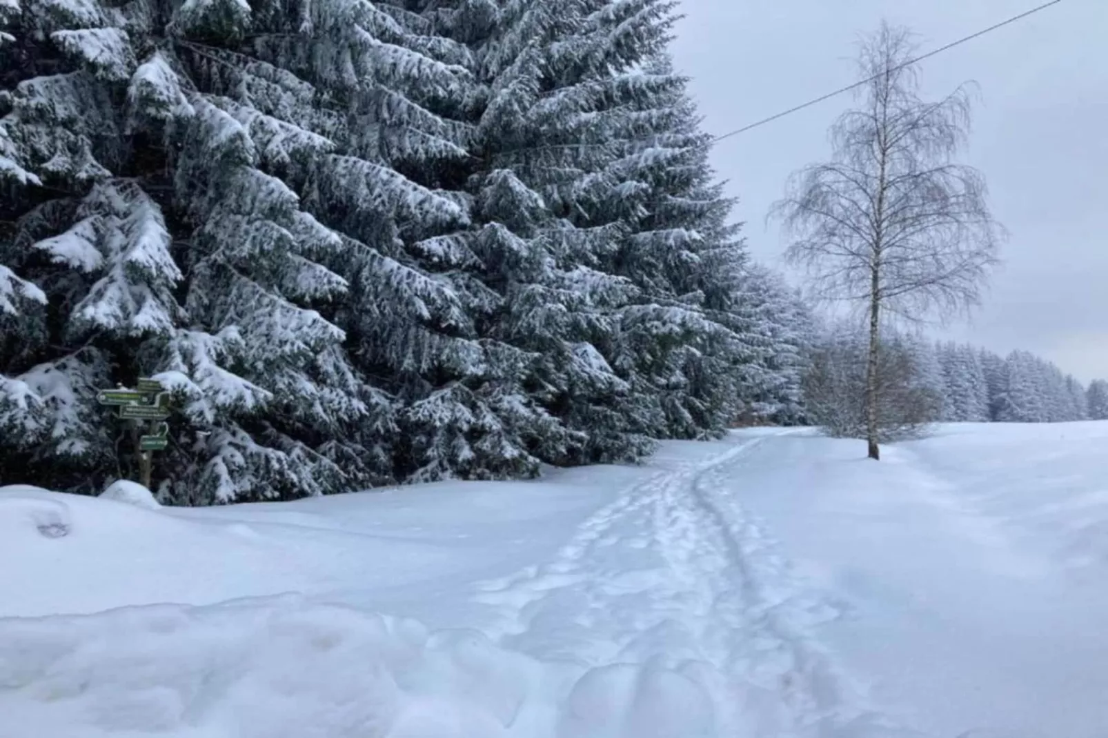 Dorothea - Gebied winter 5km