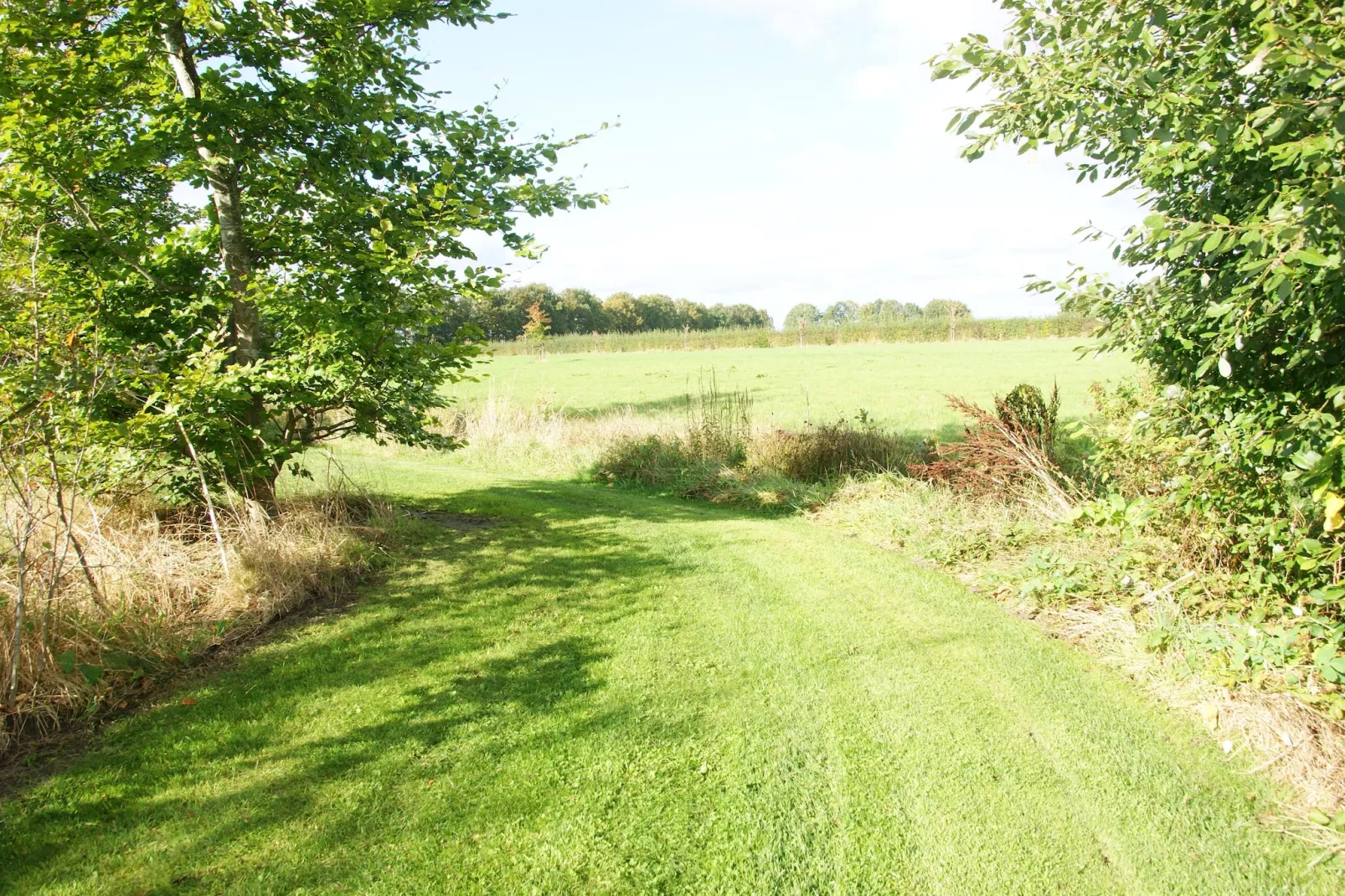 Wellnesslodge Scholekster 4p - Gebieden zomer 1km