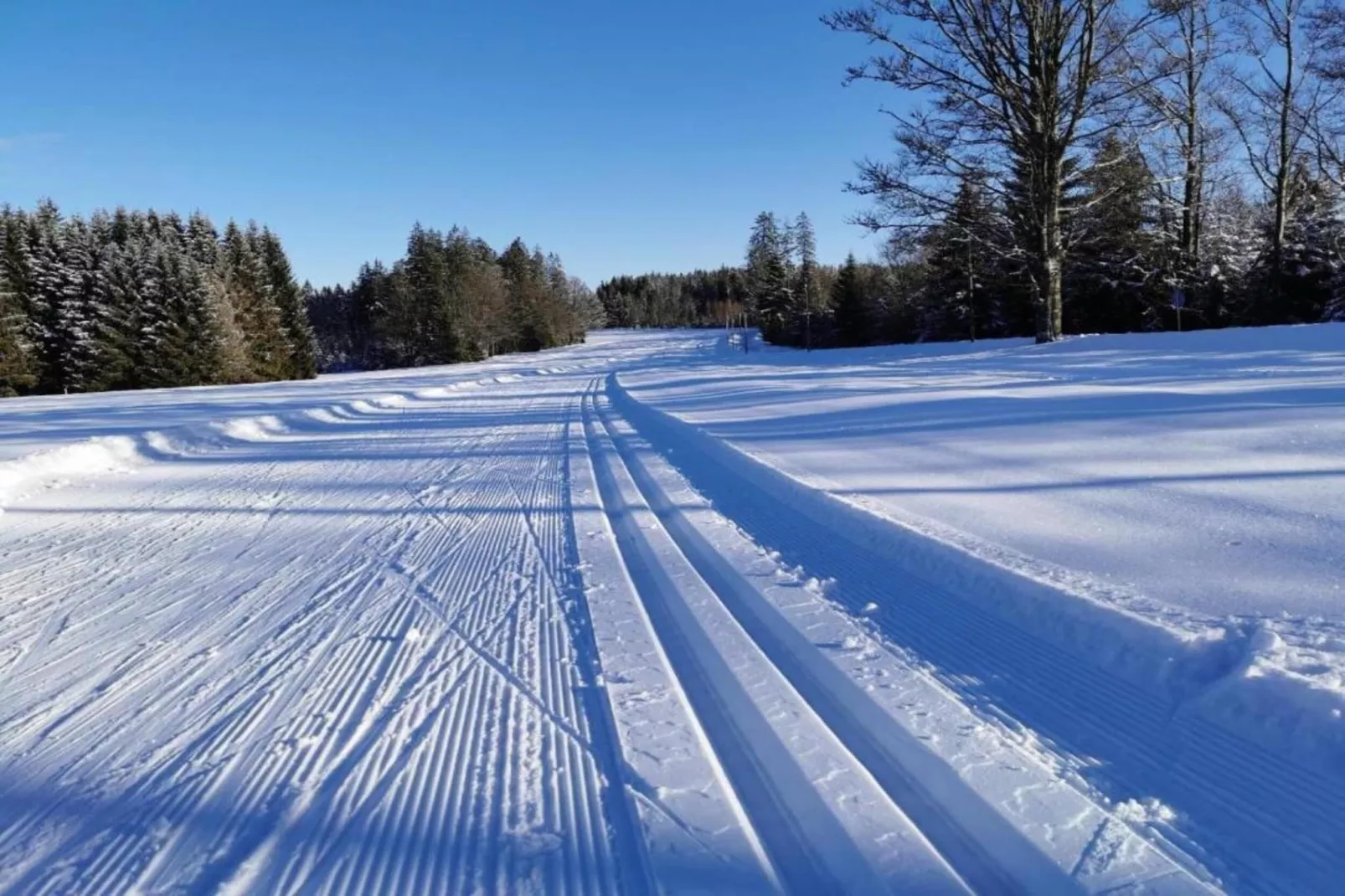 Typ A Standard - Studio Sebastian M126 - Gebied winter 5km
