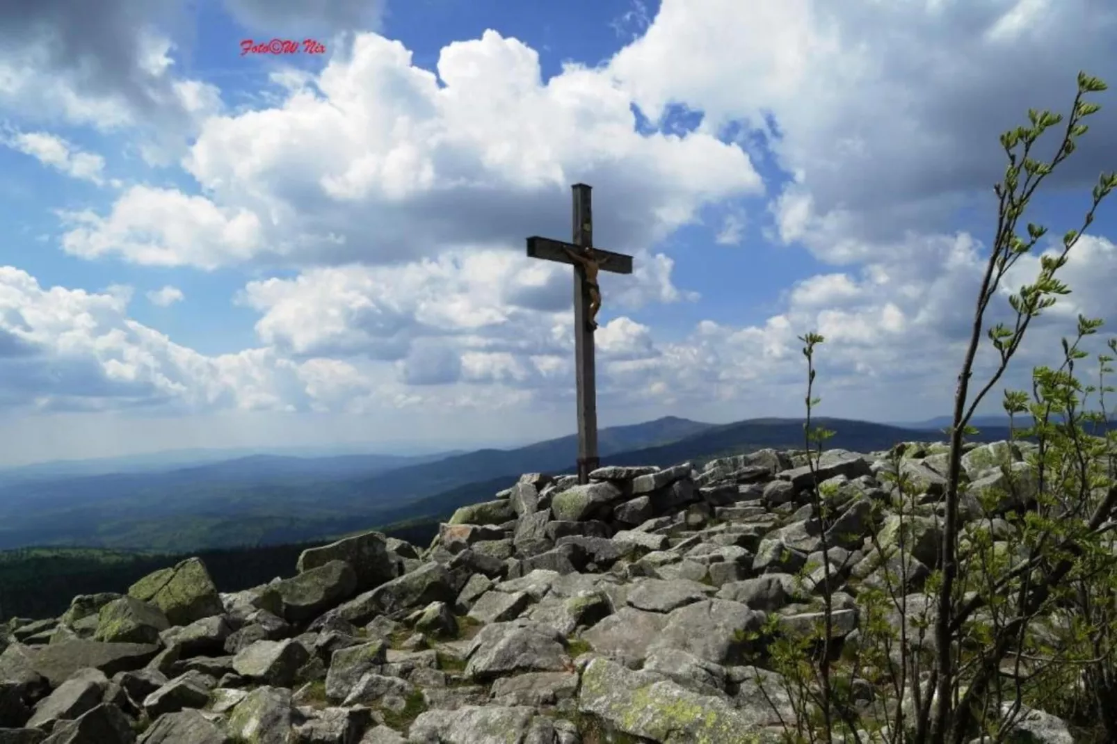 Typ A Basis - Studio Rainer N136 - Gebieden zomer 5km