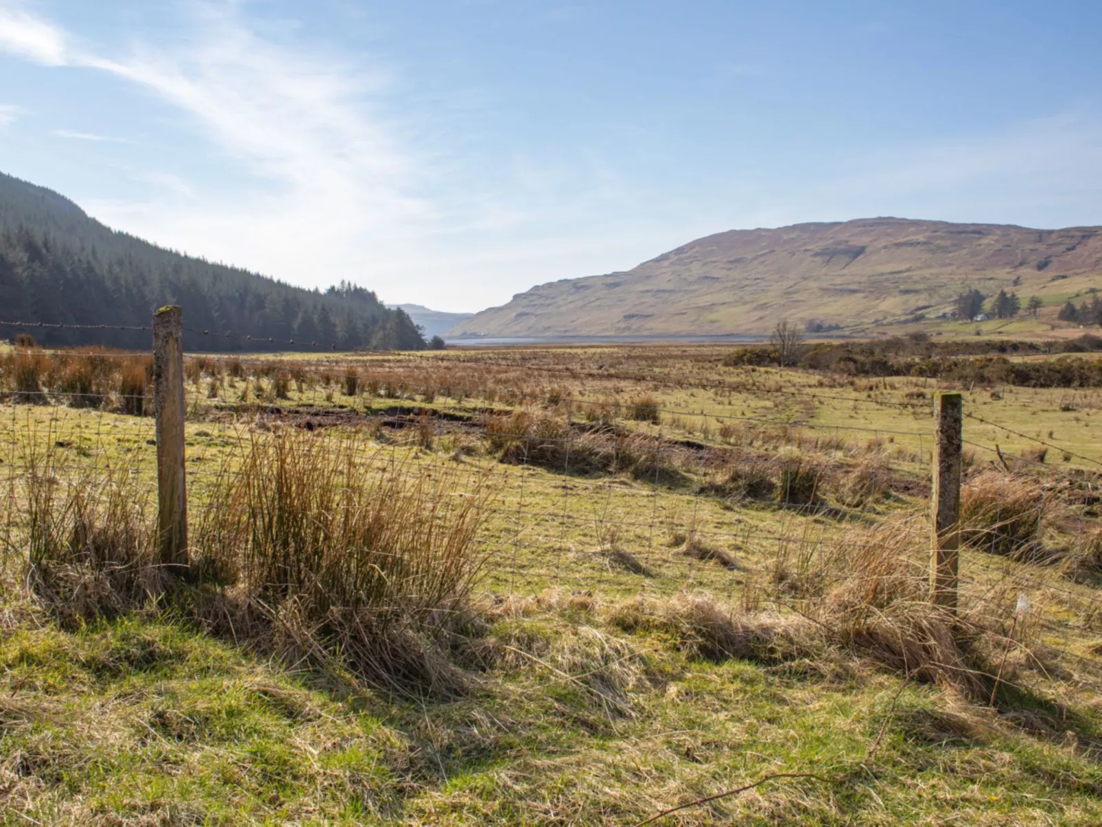 Blue Lobster - Buiten