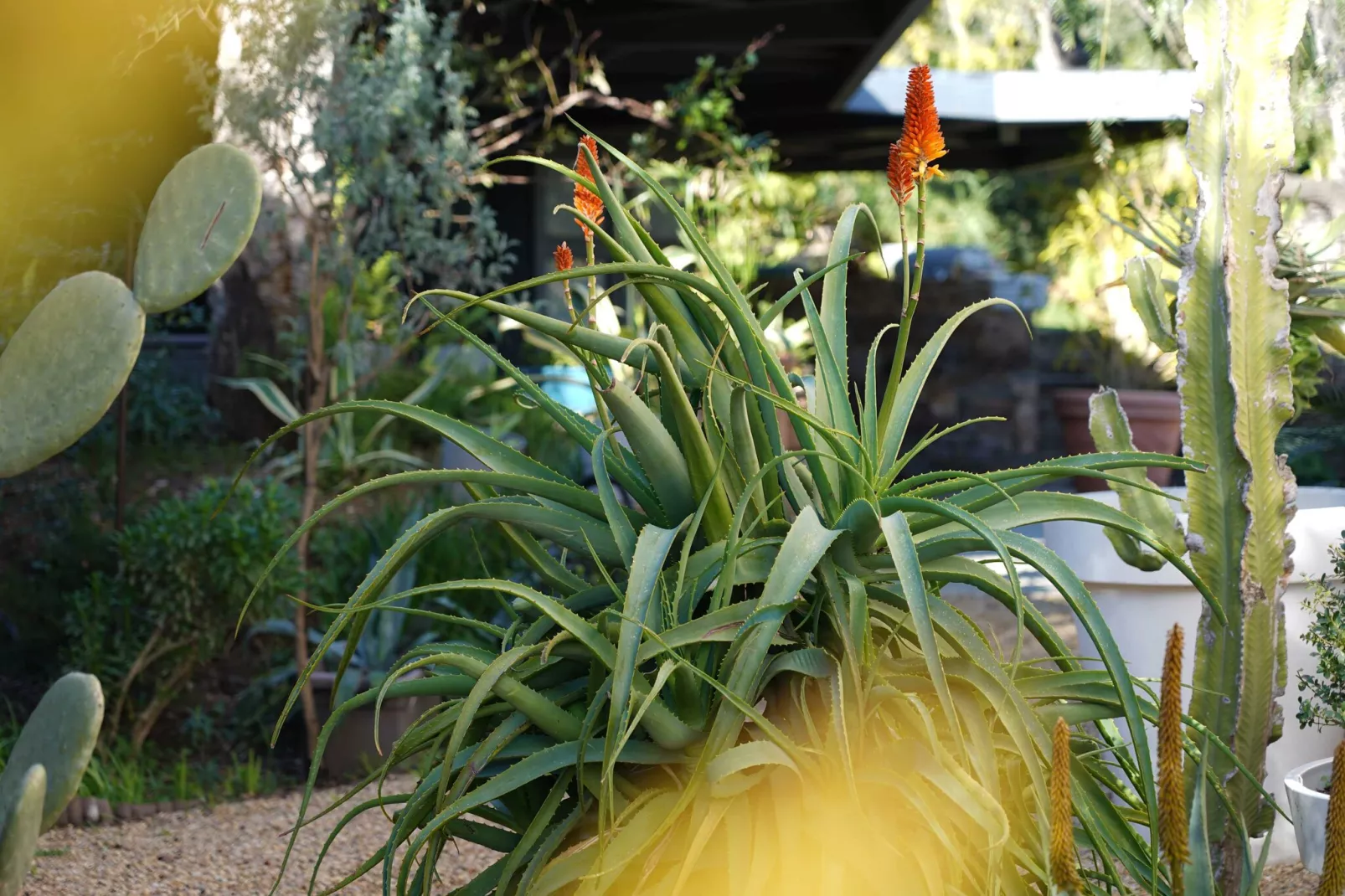 HH-127-GRIMAUD - Niet-getagd