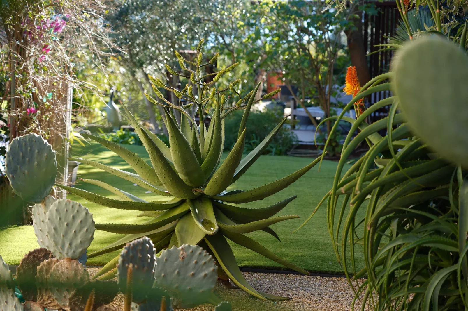 HH-127-GRIMAUD - Niet-getagd